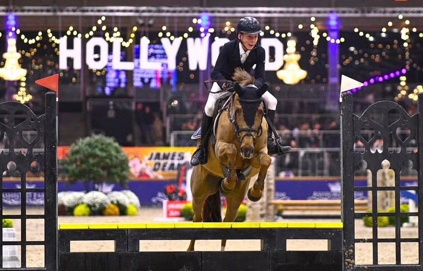 D pony with lots of competition experience