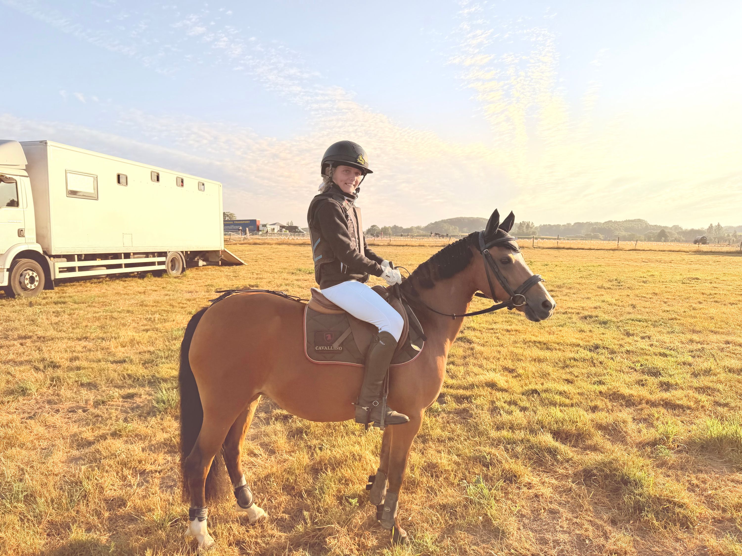bwp allround-pony merrie 12 years old bruin for sale - Photo 4