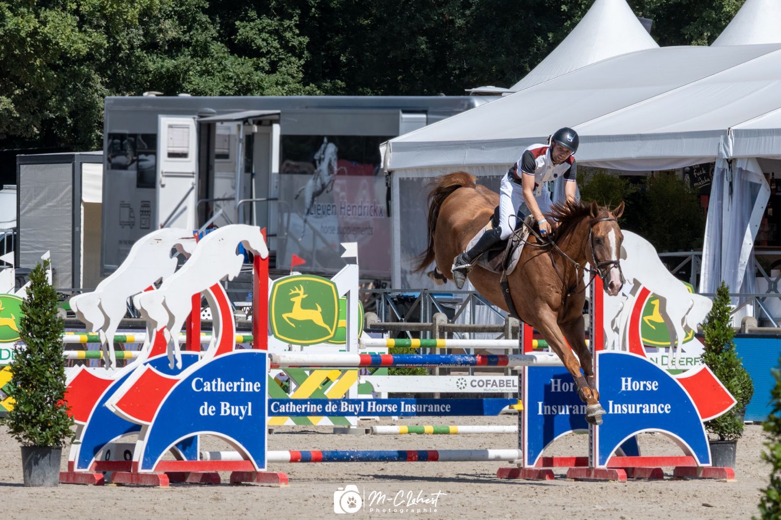 bwp springpaard ruin 4 years old vos for sale - Photo 2