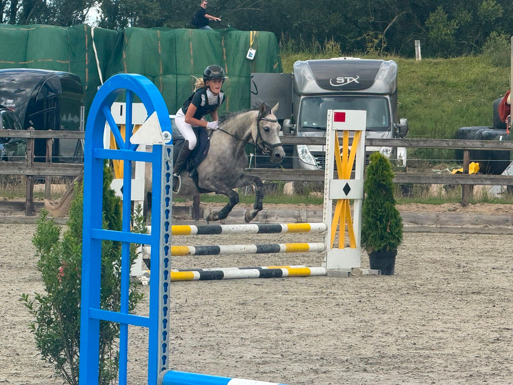 nrps allround-pony merrie 7 سنوات schimmel للبيع - صورة 2