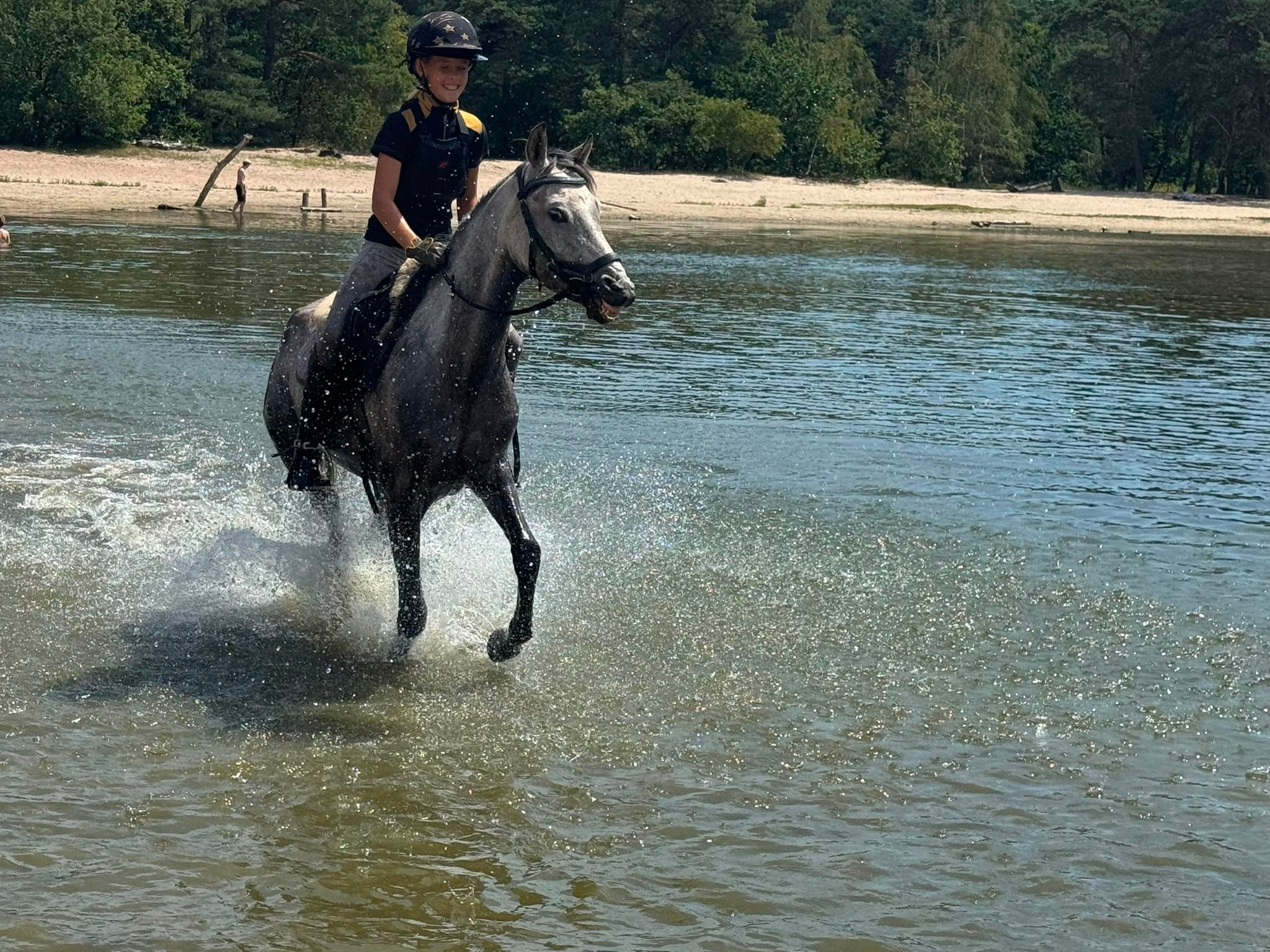 nrps allround-pony merrie 7 سنوات schimmel للبيع - صورة 5