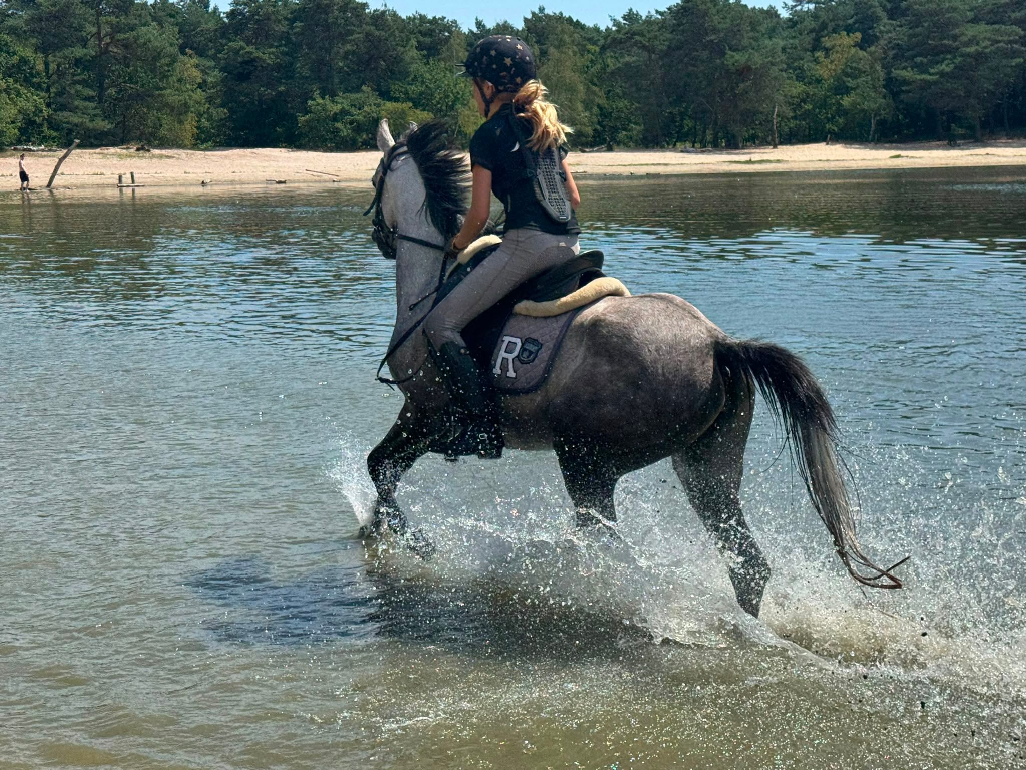 nrps allround-pony merrie 7 سنوات schimmel للبيع - صورة 6