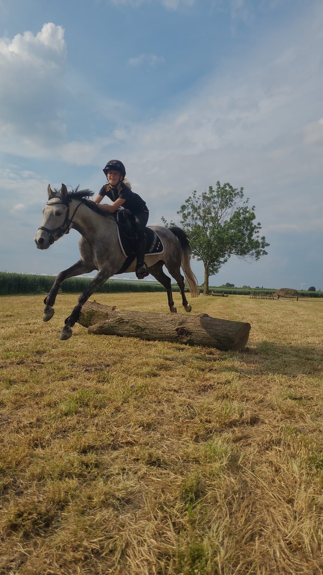 nrps allround-pony merrie 7 سنوات schimmel للبيع - صورة 3