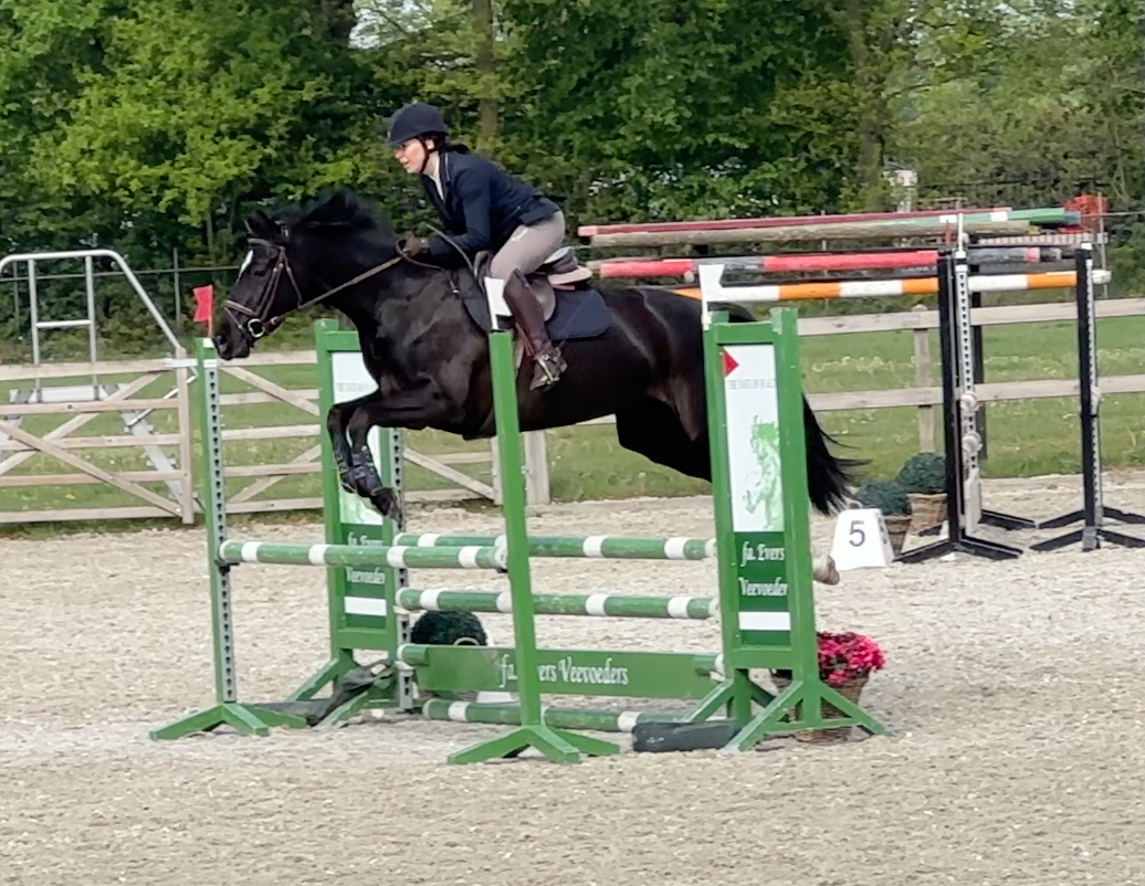"Super fijn en betrouwbaar 7-jarige springmerrie Olivia van de Landweg – Jardonnay VDL x Up-to-Date x Zeus