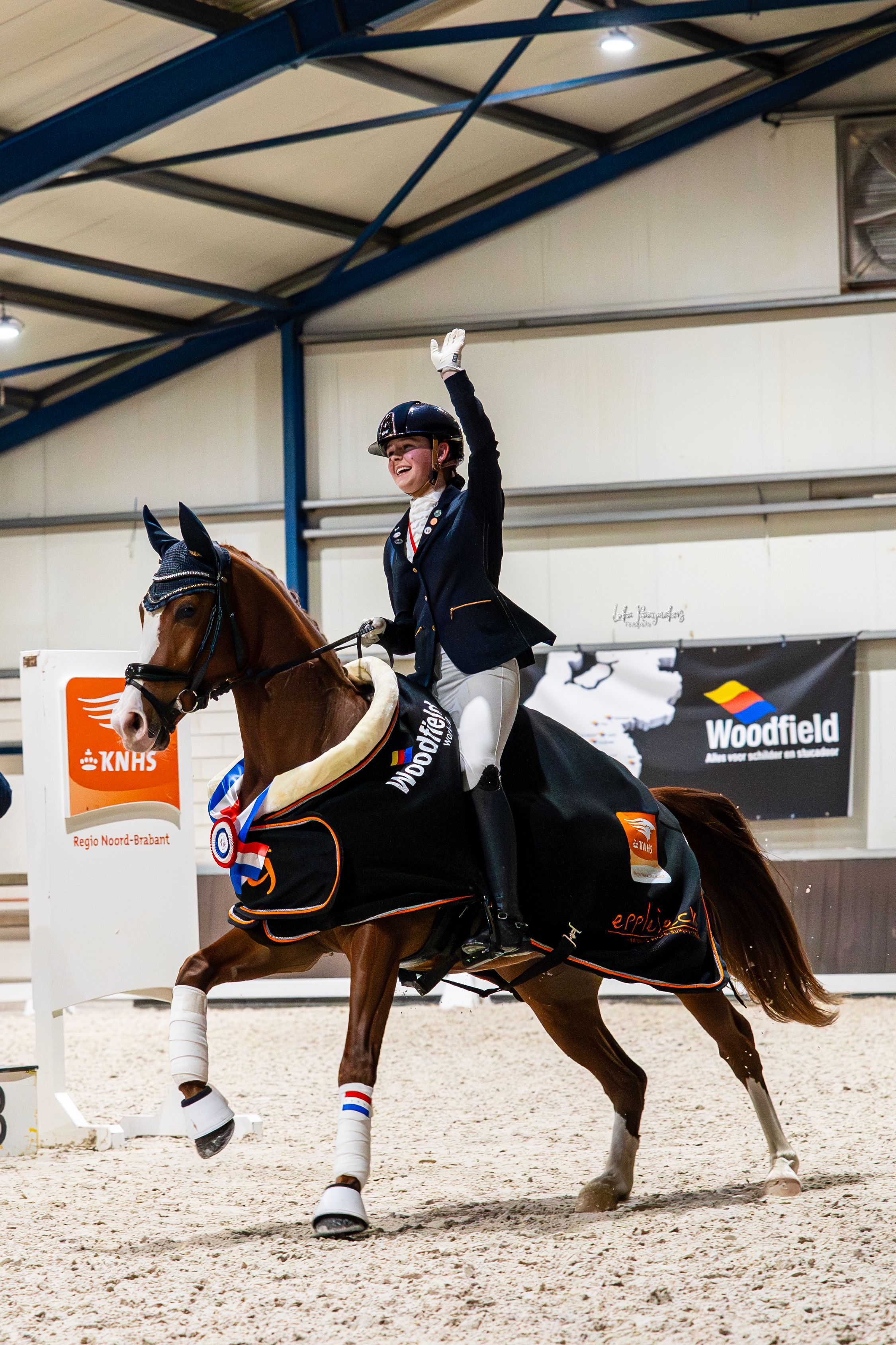 nrps allround-pony ruin 7 سنوات vos للبيع - صورة 6