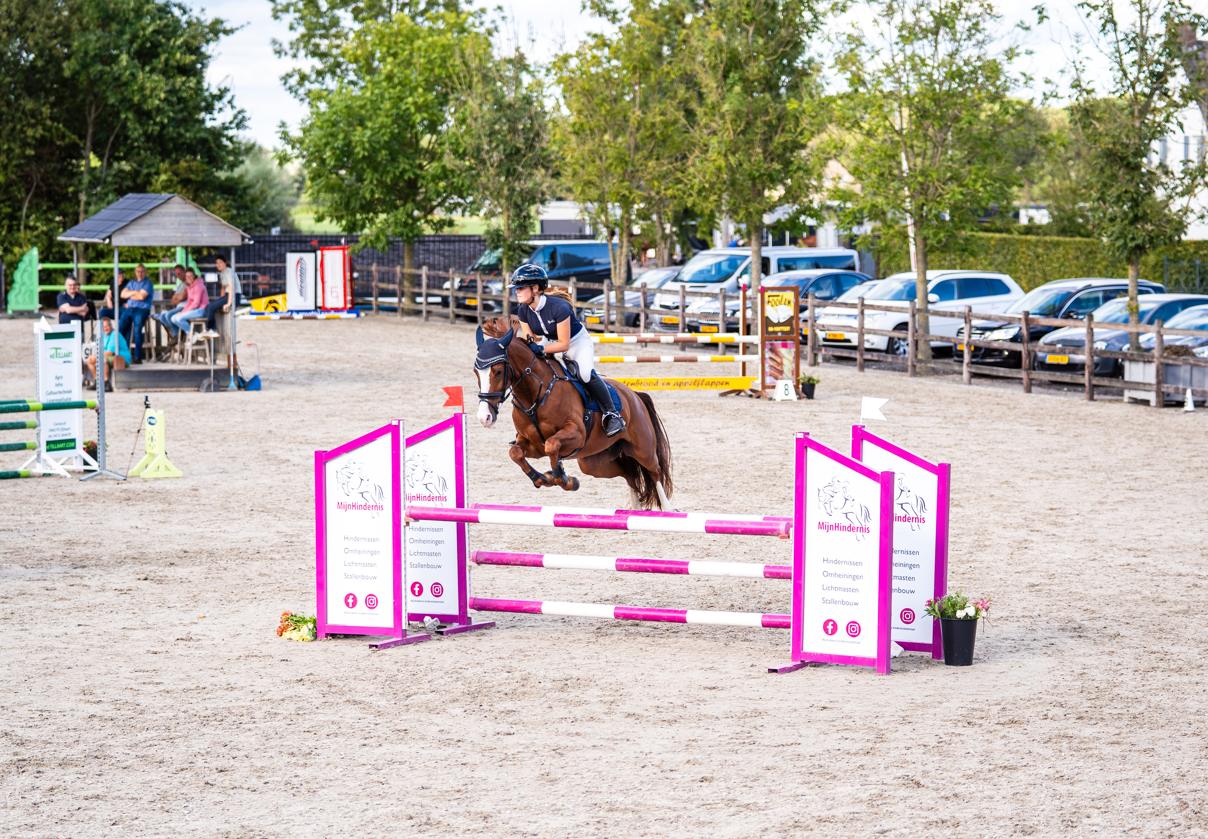 nrps allround-pony ruin 7 سنوات vos للبيع - صورة 5