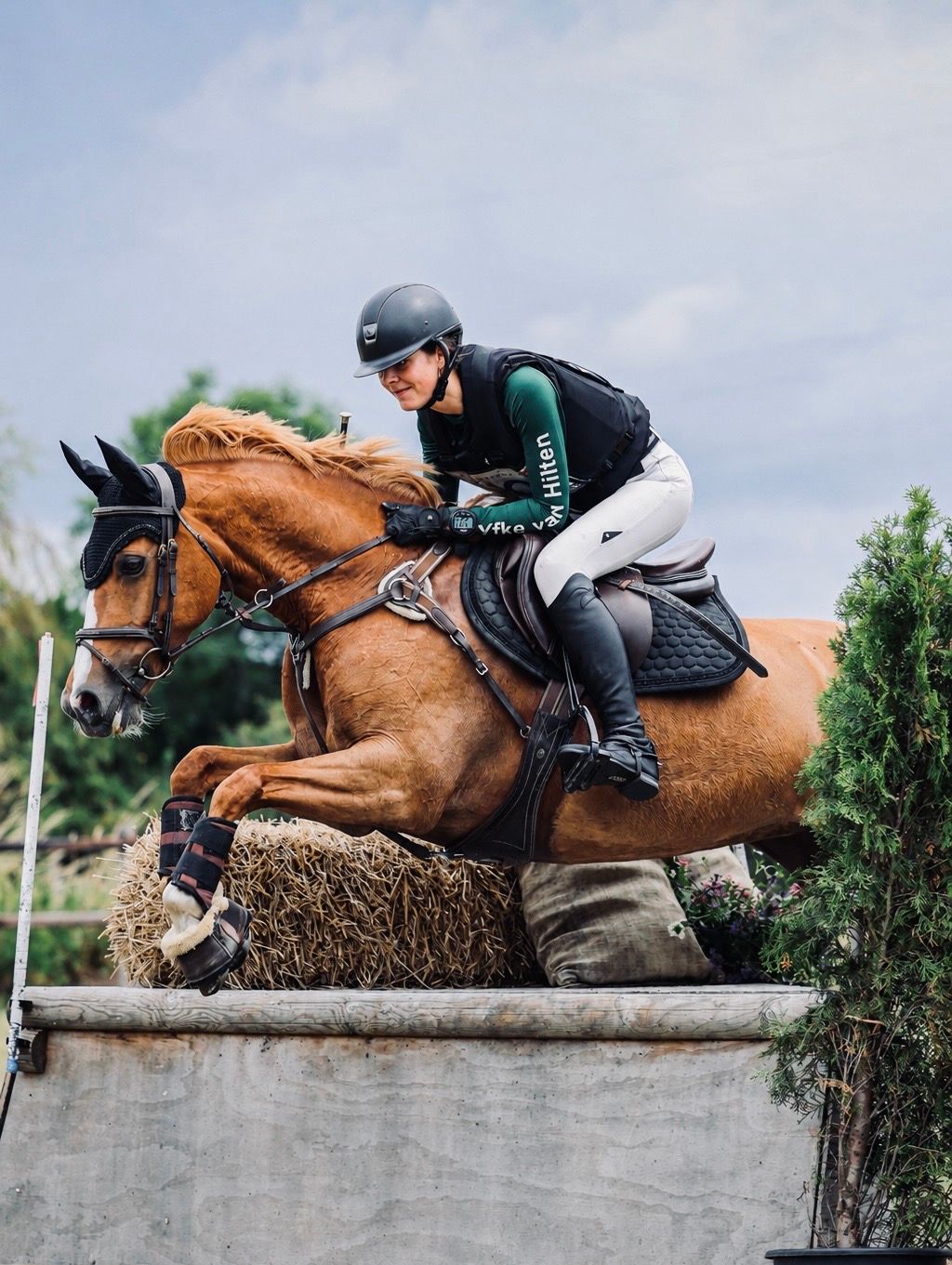 welsh springpony merrie 7 Jahre alt vos zu verkaufen - Foto 3