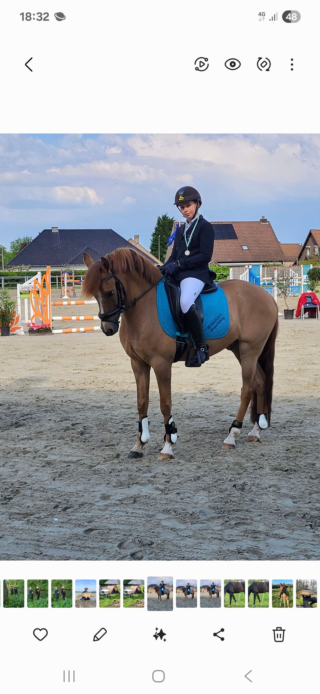 bwp dressuurpony ruin 12 jaar vos te koop - Foto 4