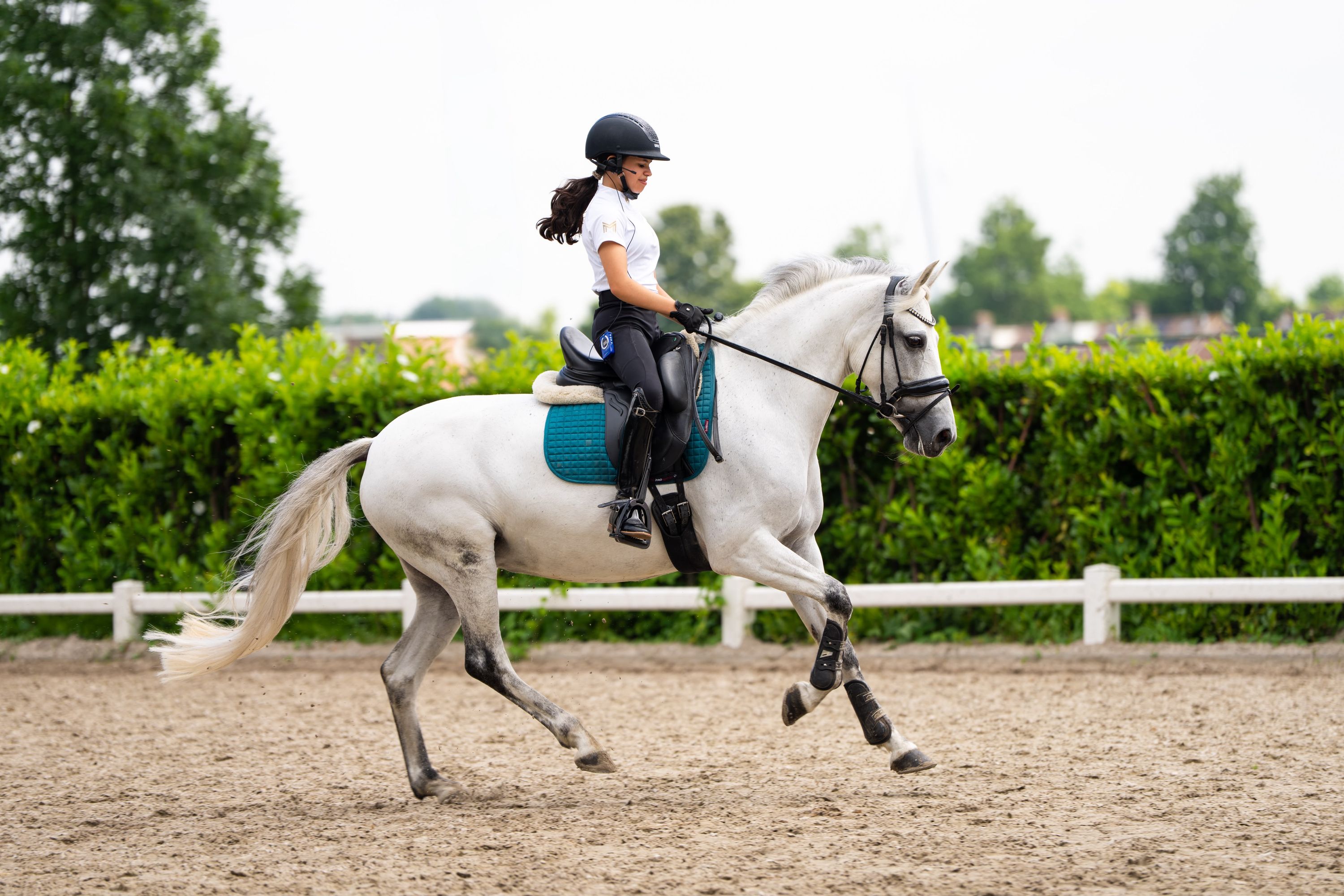 Talentvolle sportpony voor ambitieuze ruiter