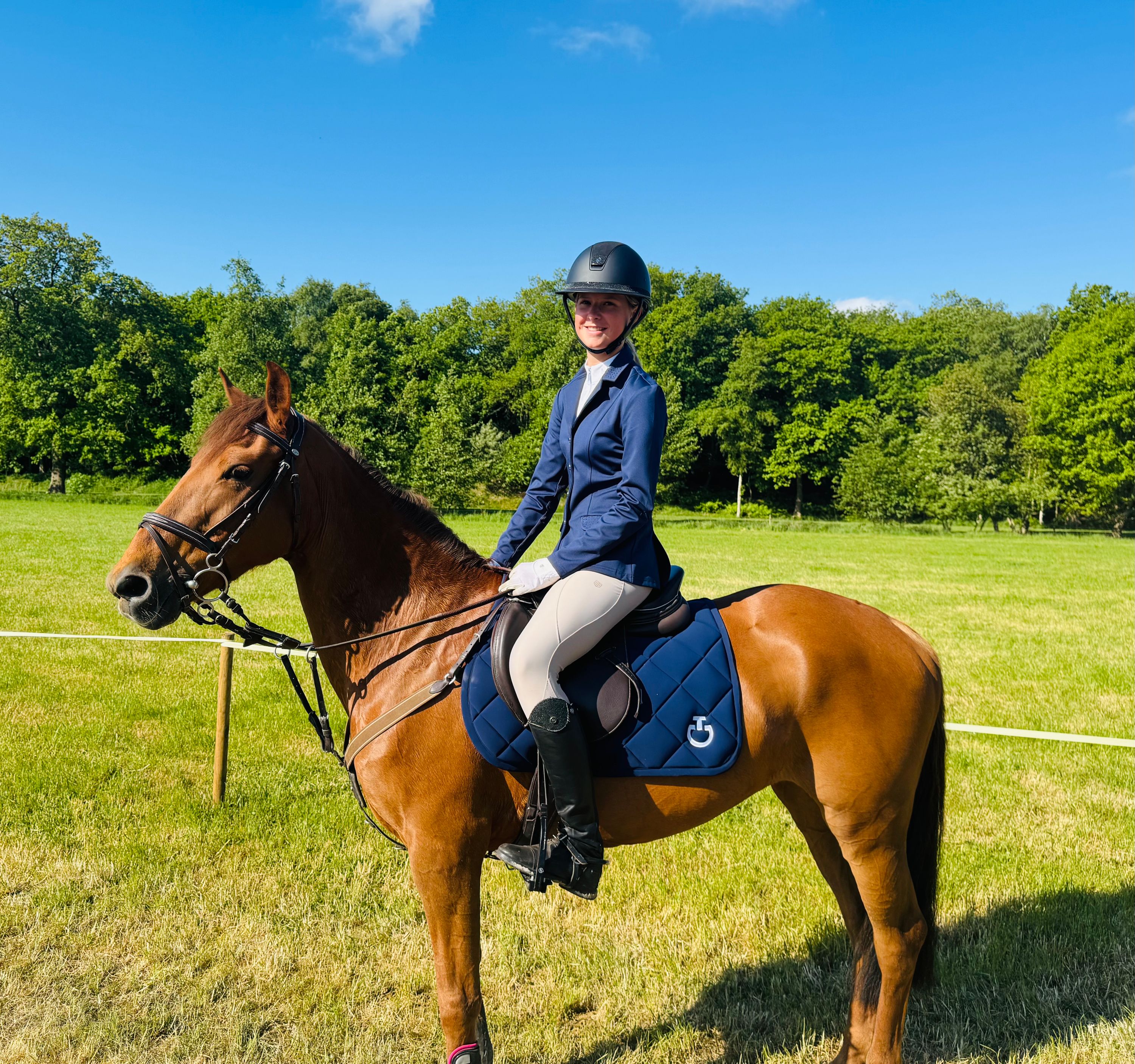 allround-pony merrie 19 years old vos for sale - Photo 3