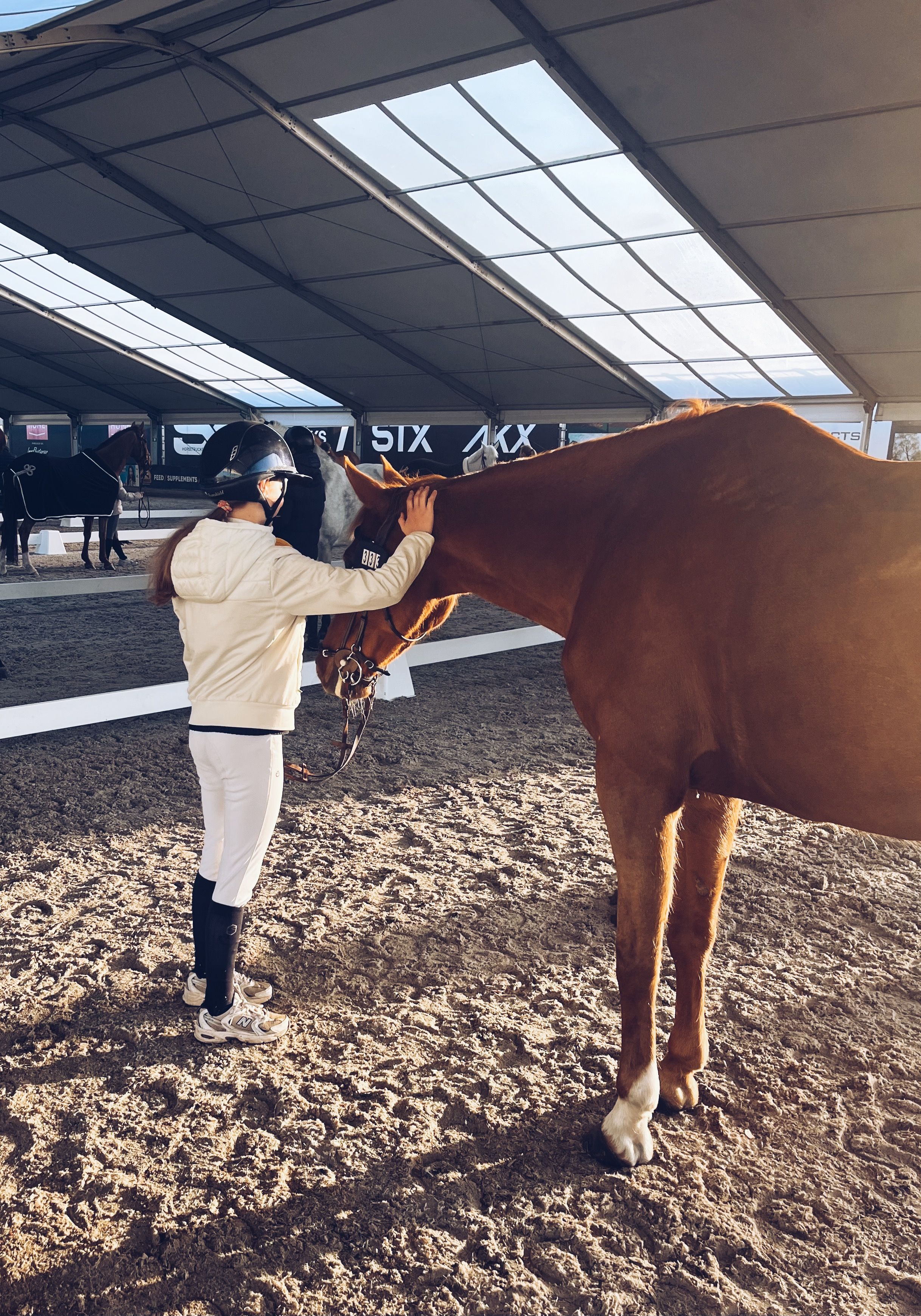 zangersheide springpaard merrie 9 歳 vos 売り出し中 - 写真 3