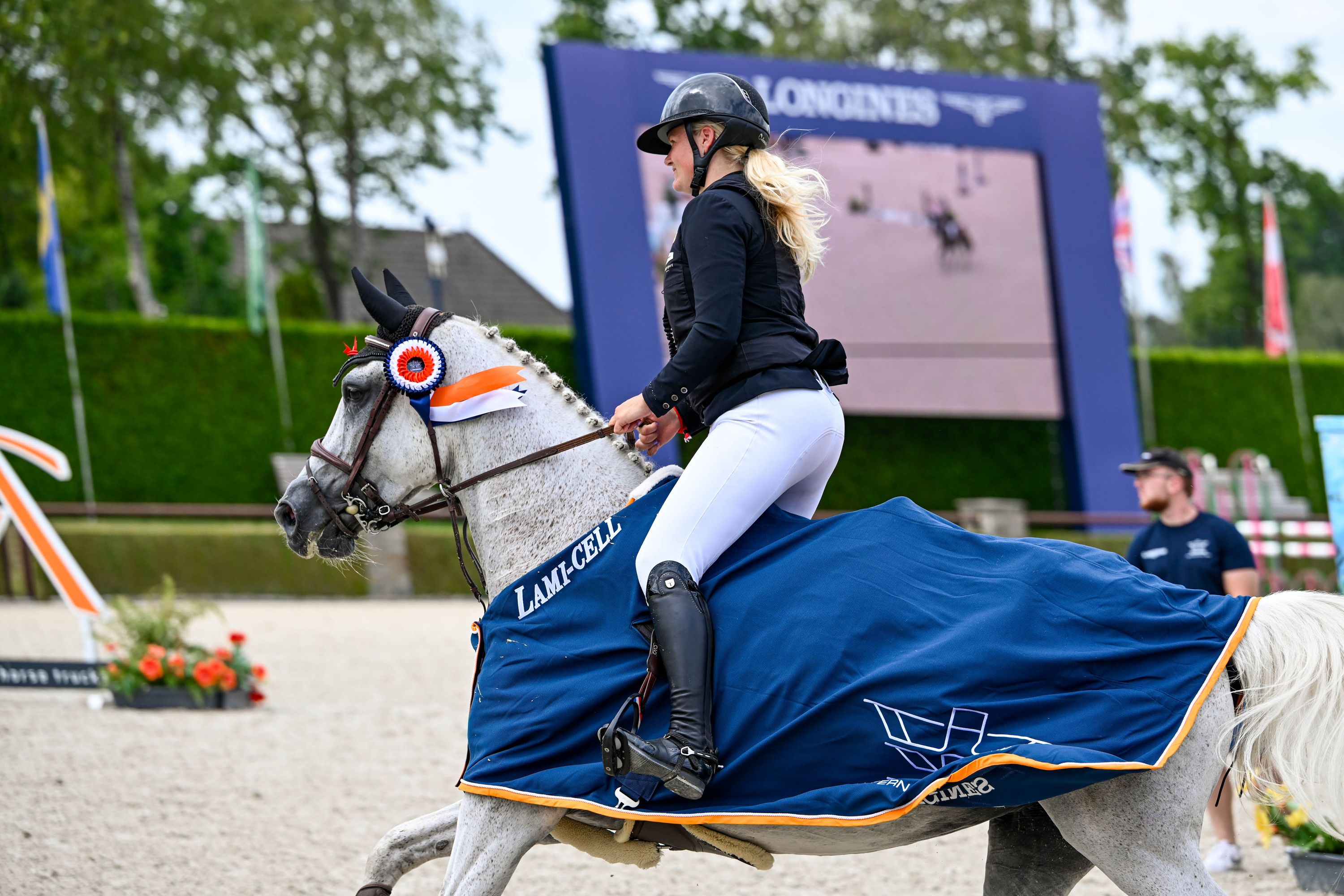 zangersheide springpaard merrie 11 years old schimmel for sale - Photo 2