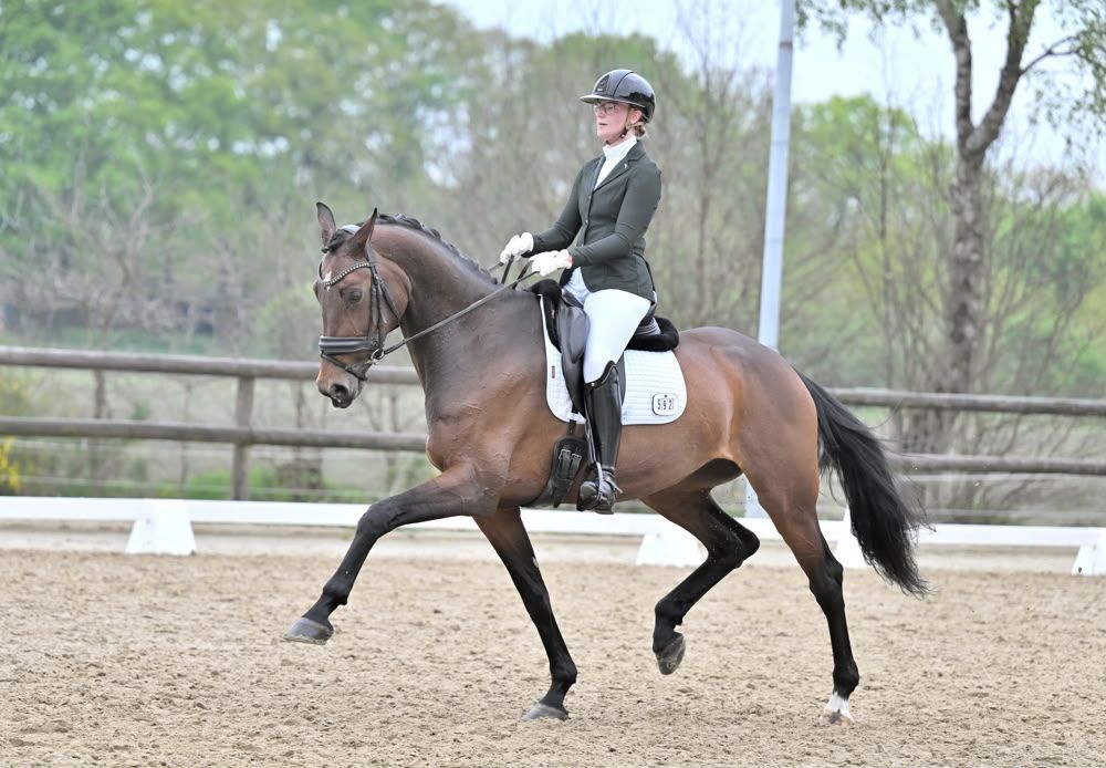 Sweet 10-year-old PSG/Inter1 mare
