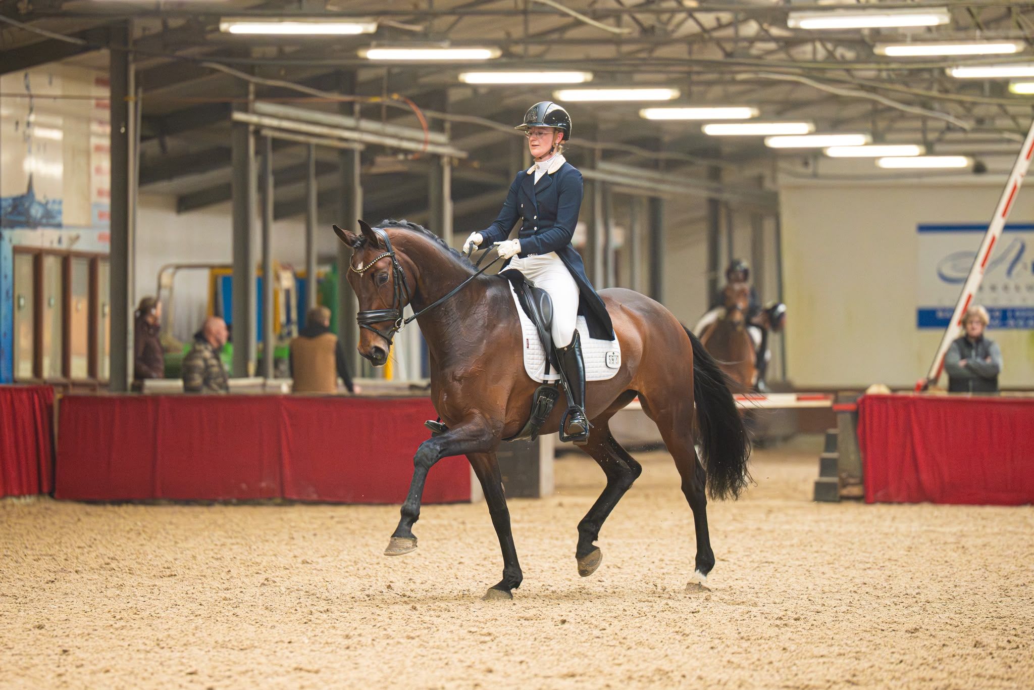 nrps dressuurpaard merrie 10 years old bruin for sale - Photo 5