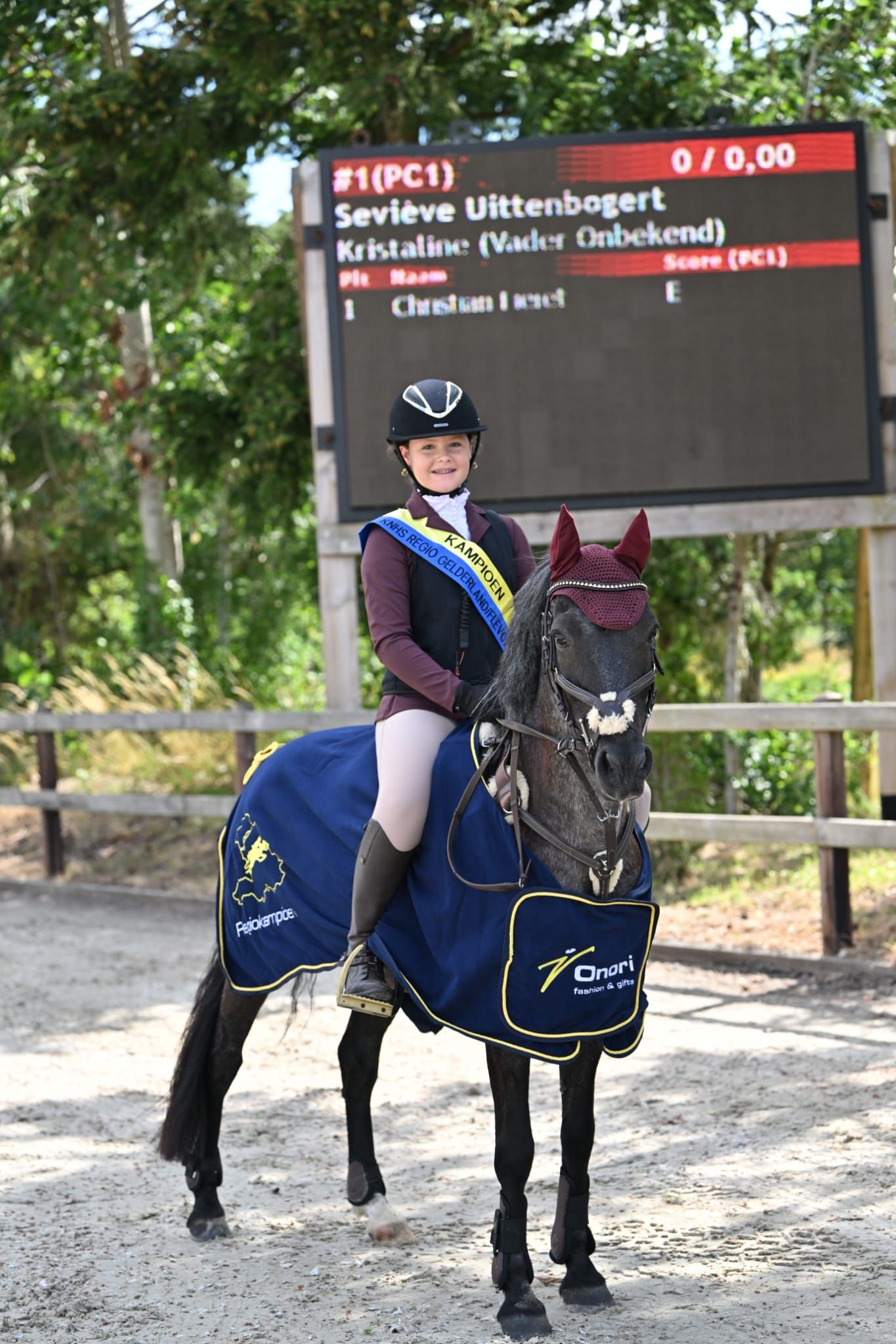 franse-pony allround-pony merrie 14 år roan til salgs - Foto 2