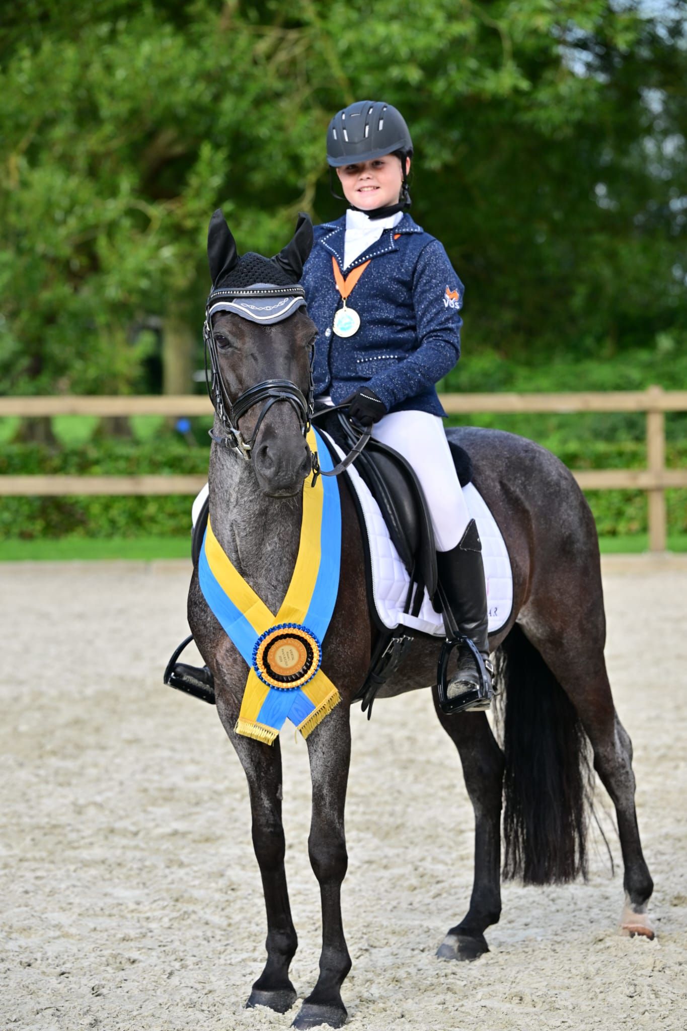 franse-pony allround-pony merrie 14 år roan til salgs - Foto 5
