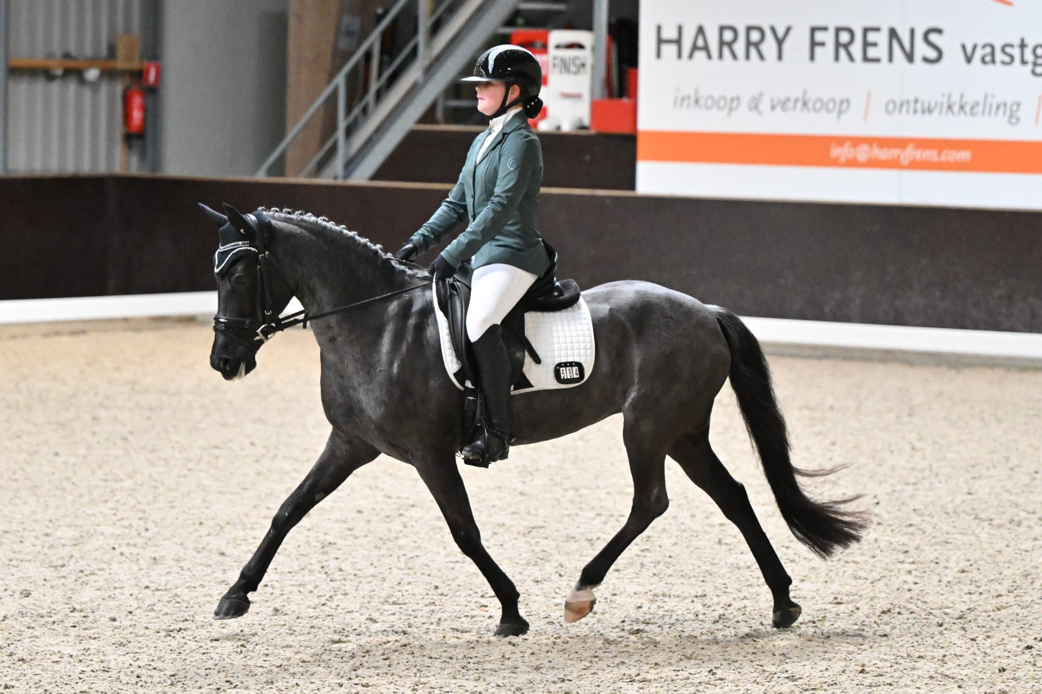 franse-pony allround-pony merrie 14 år roan til salgs - Foto 3