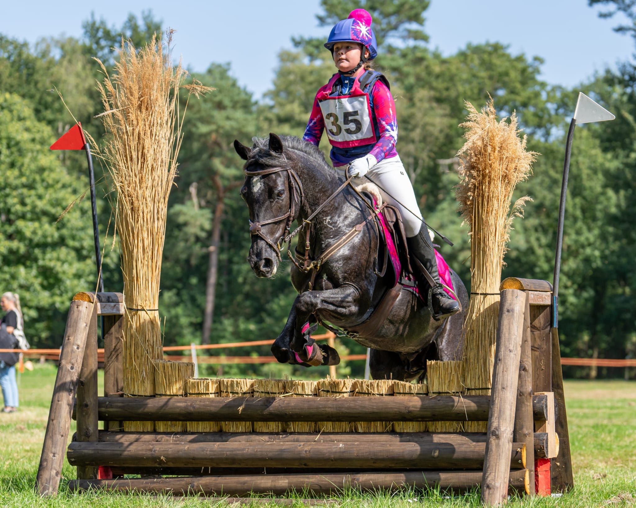 franse-pony allround-pony merrie 14 år roan til salgs - Foto 4