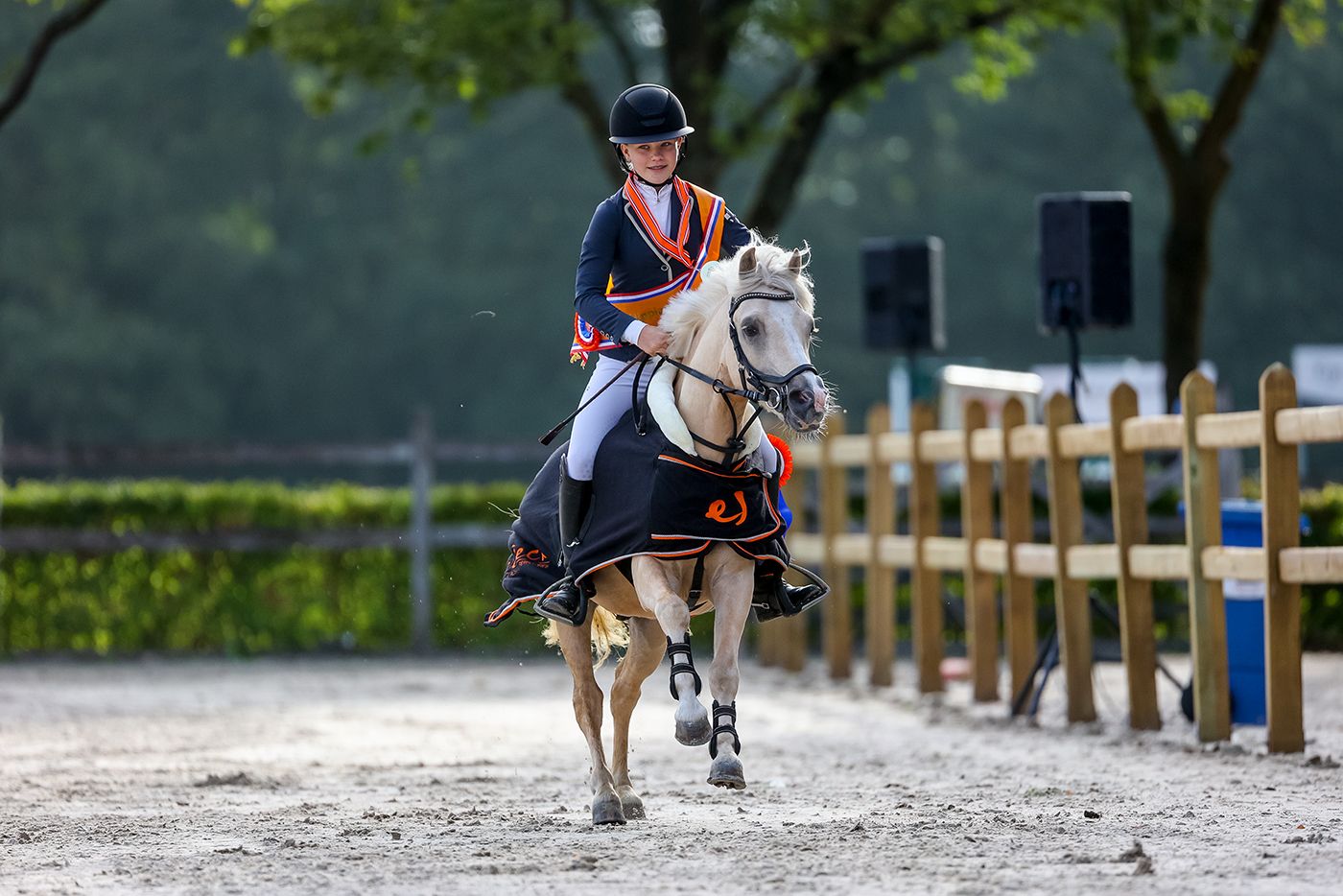Poni de deporte y niños, noble y valiente. ¡Campeón de los Países Bajos!