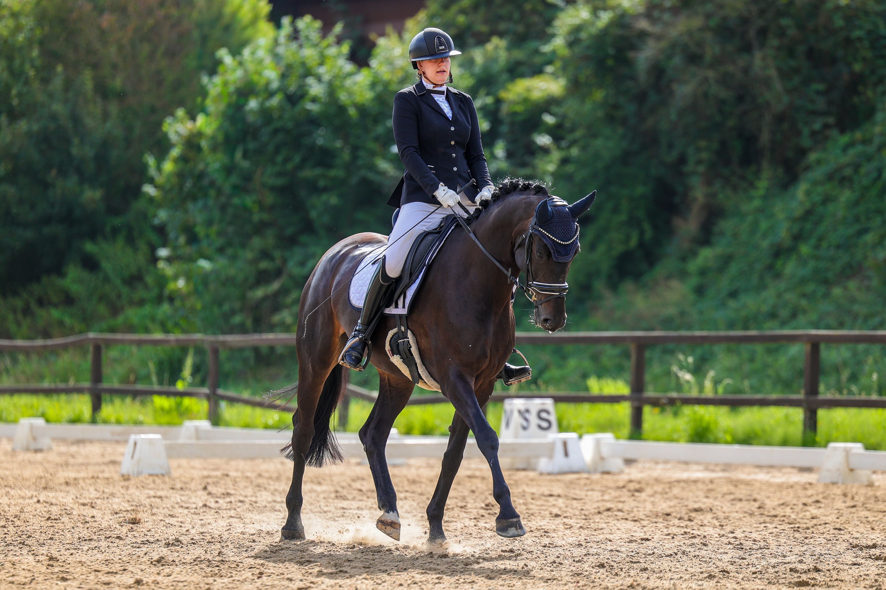 Charmante 6-jarige dressuurmerrie