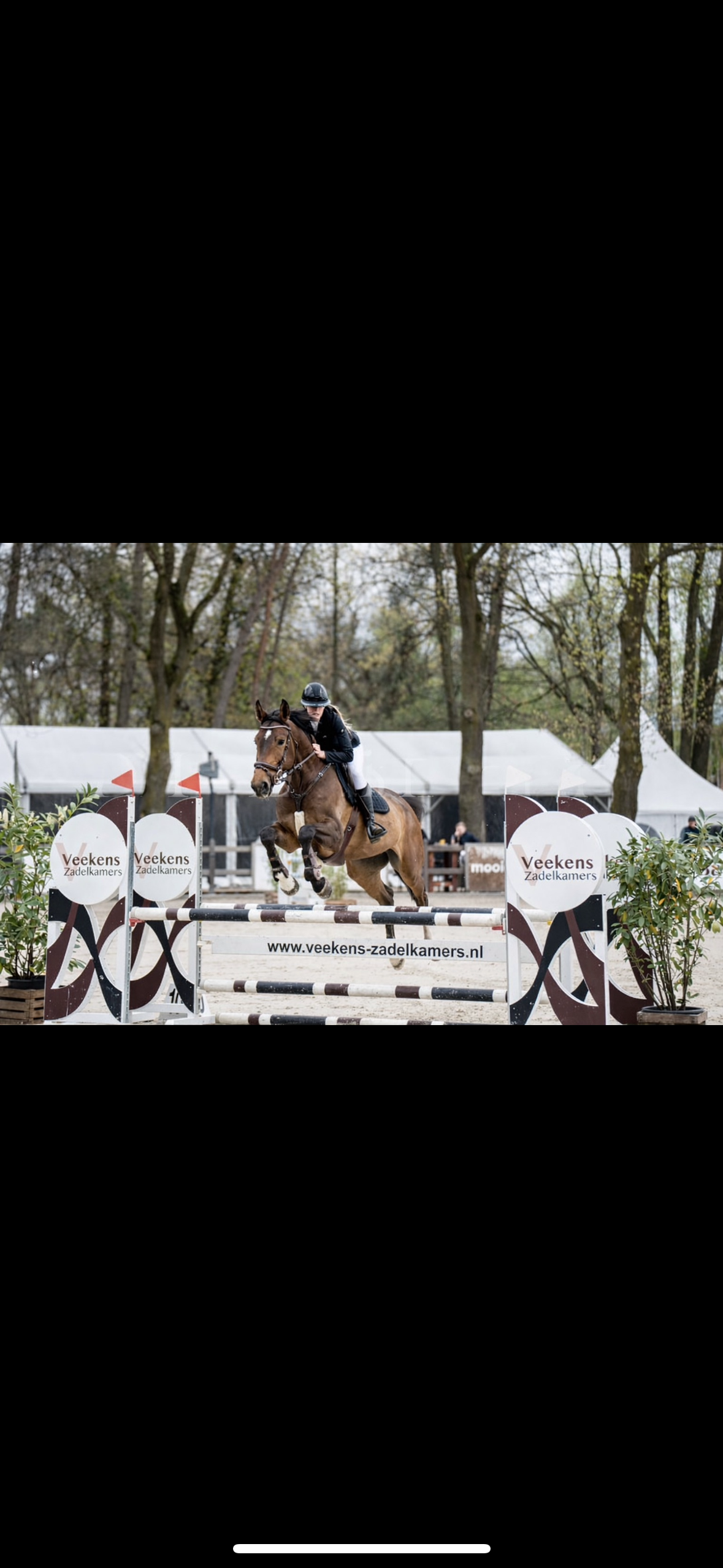 8 jarige merrie tekoop met gouden karakter