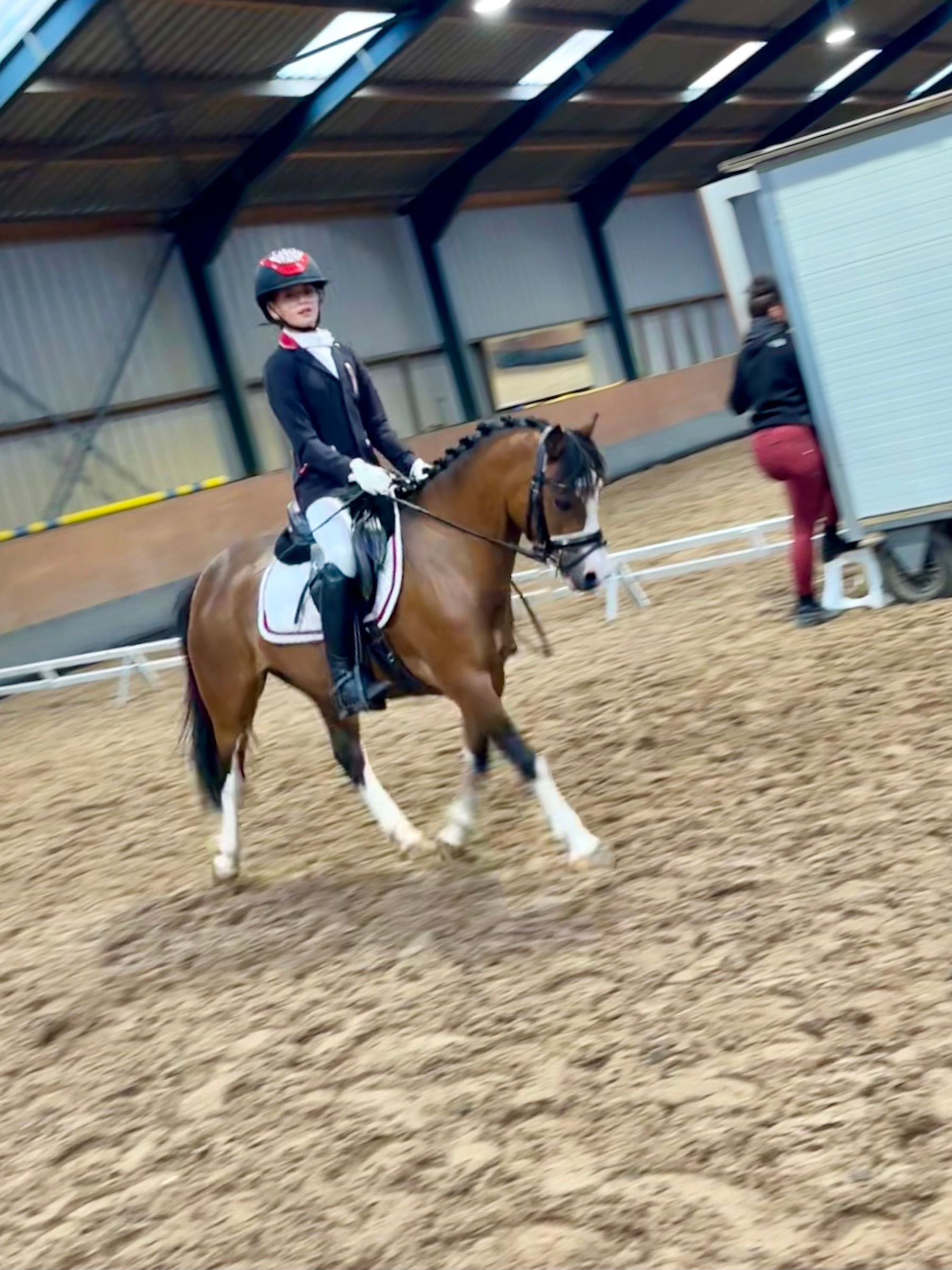 welsh allround-pony merrie 9 år bruin till salu - Foto 6