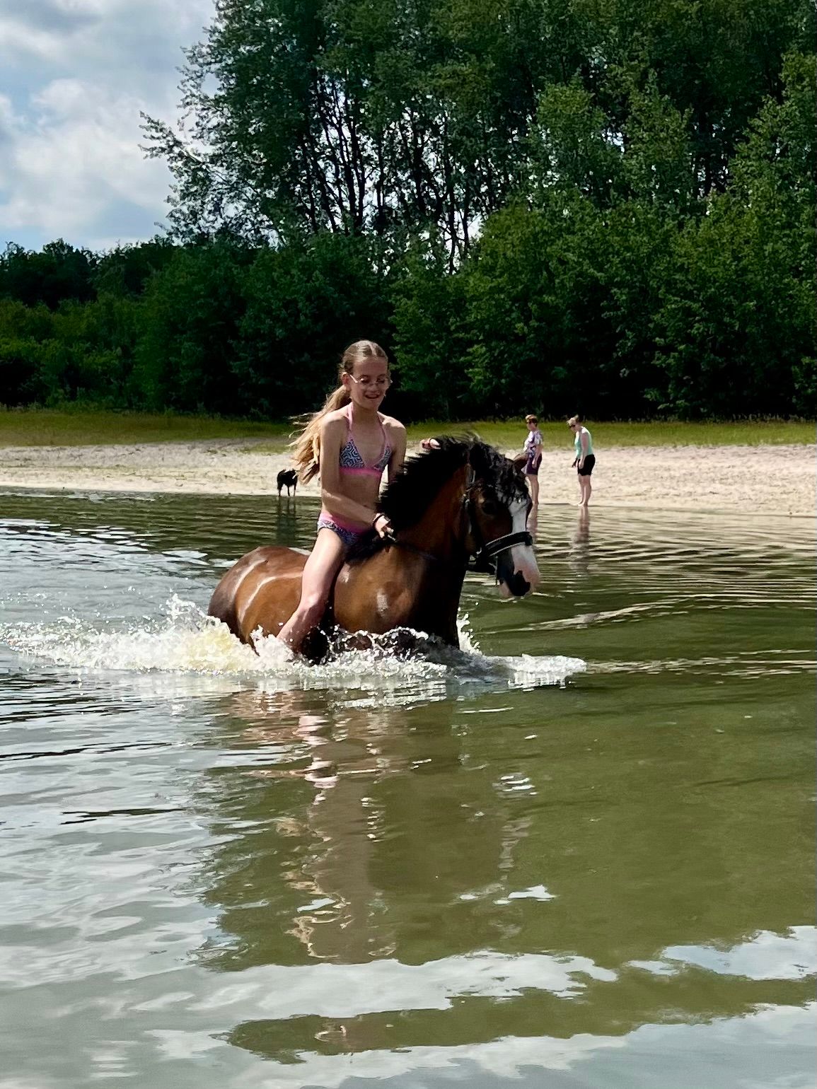 welsh allround-pony merrie 9 år bruin till salu - Foto 4