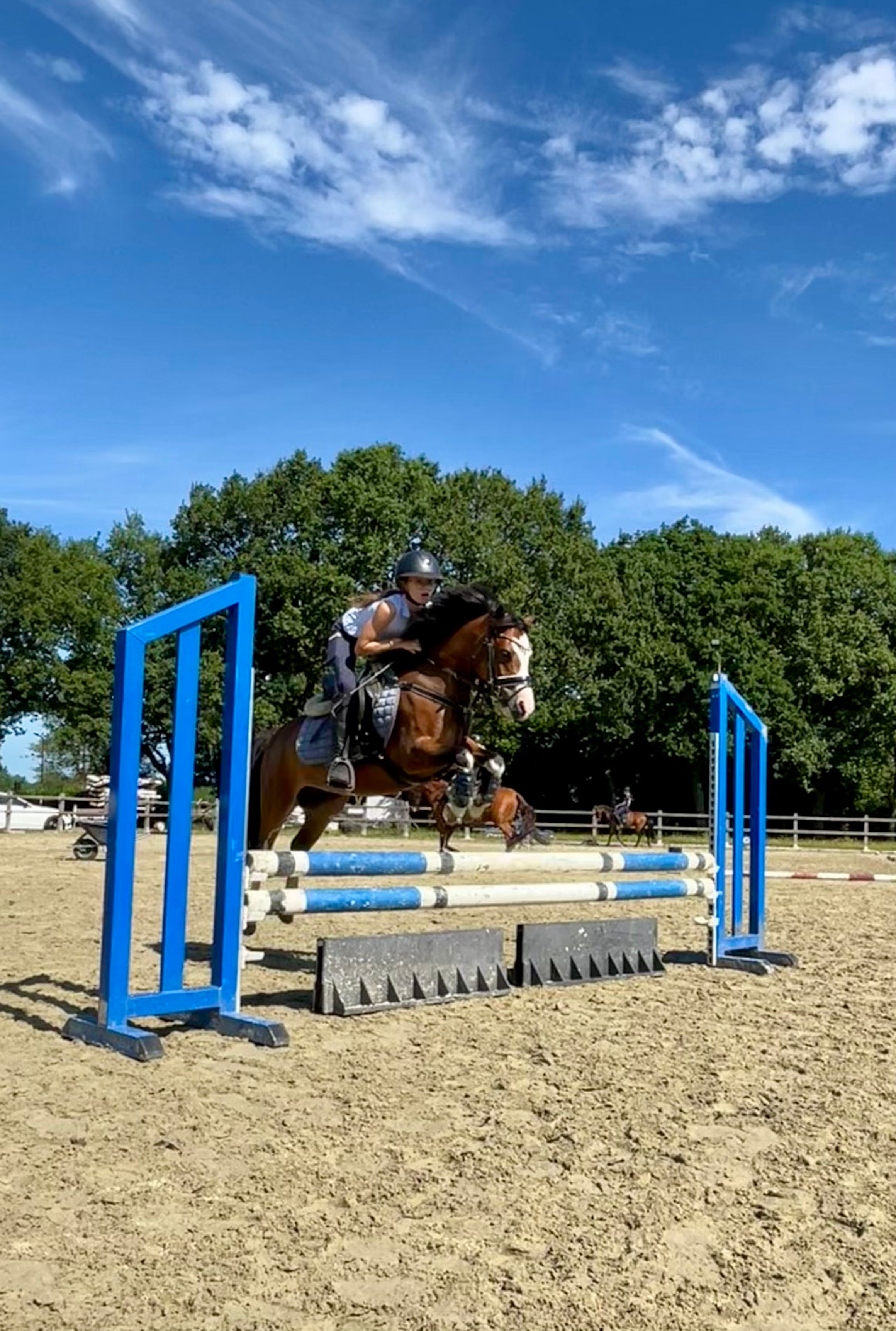 welsh allround-pony merrie 9 år bruin till salu - Foto 2