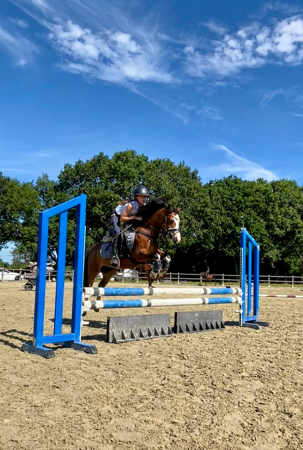 Allround 9-årig superfin B-ponny Welsh-sto