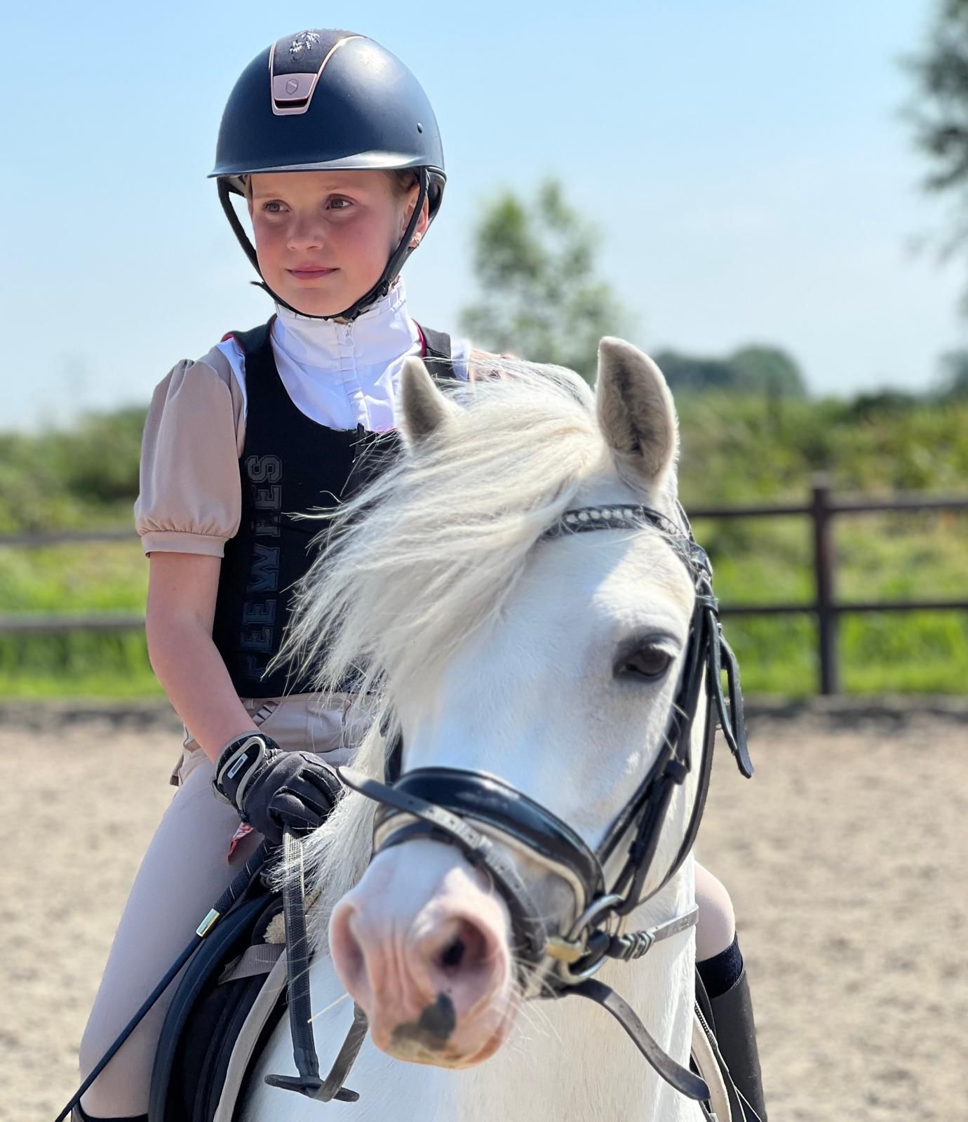welsh allround-pony merrie 9 år schimmel till salu - Foto 4