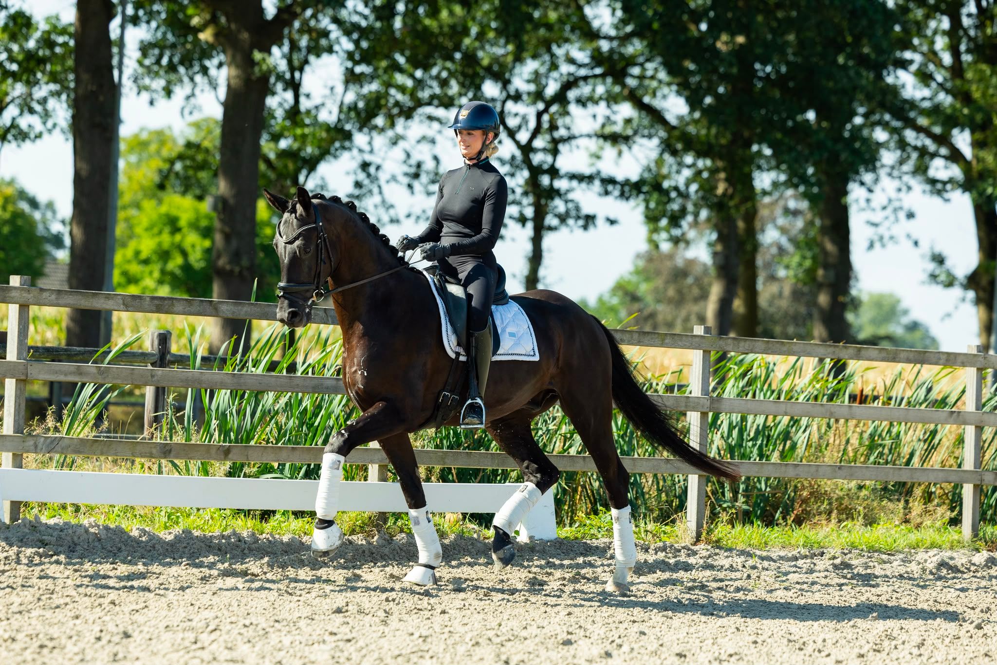kwpn dressuurpaard ruin 4 years old zwart for sale - Photo 3
