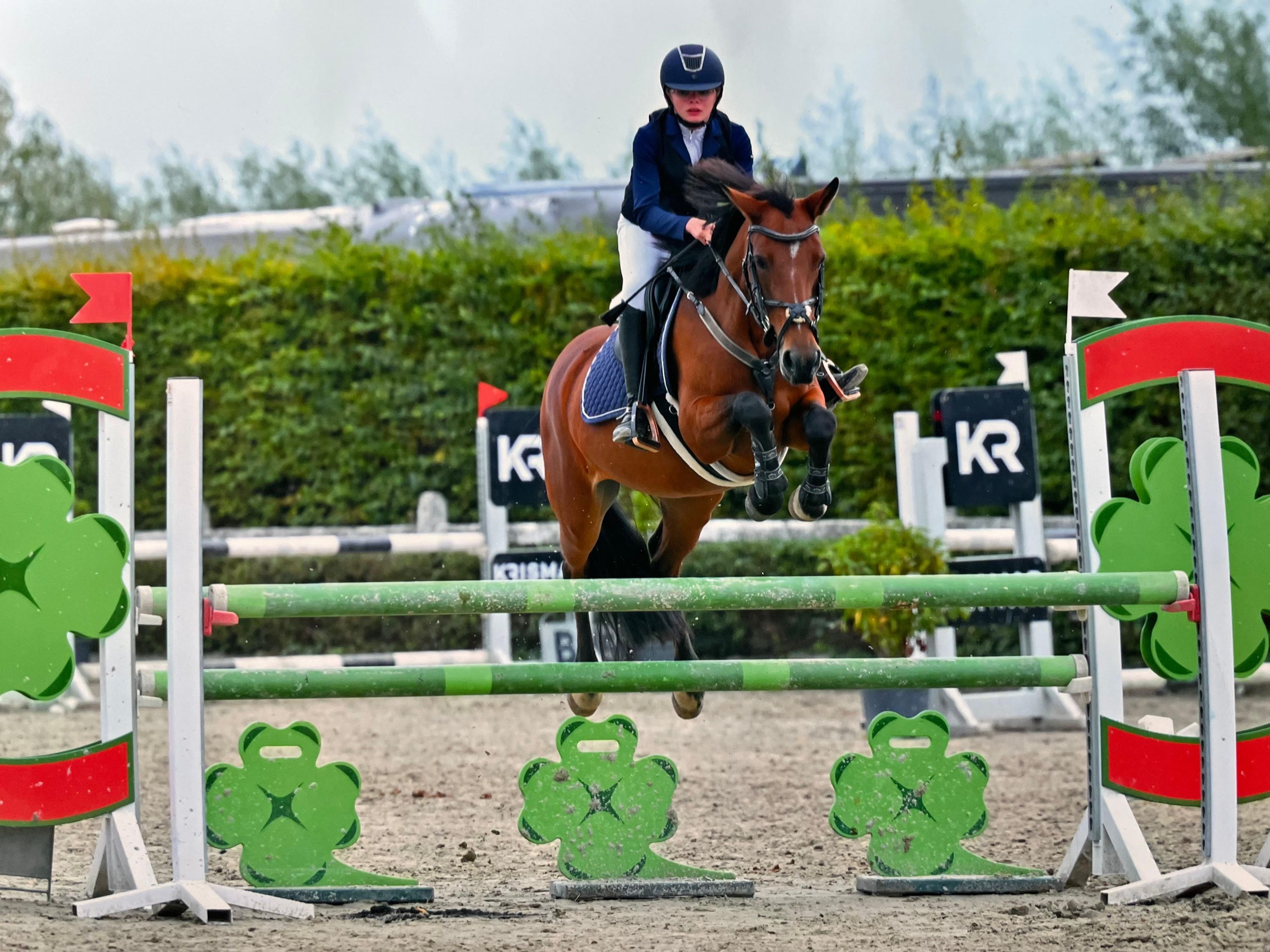 Siegerpony