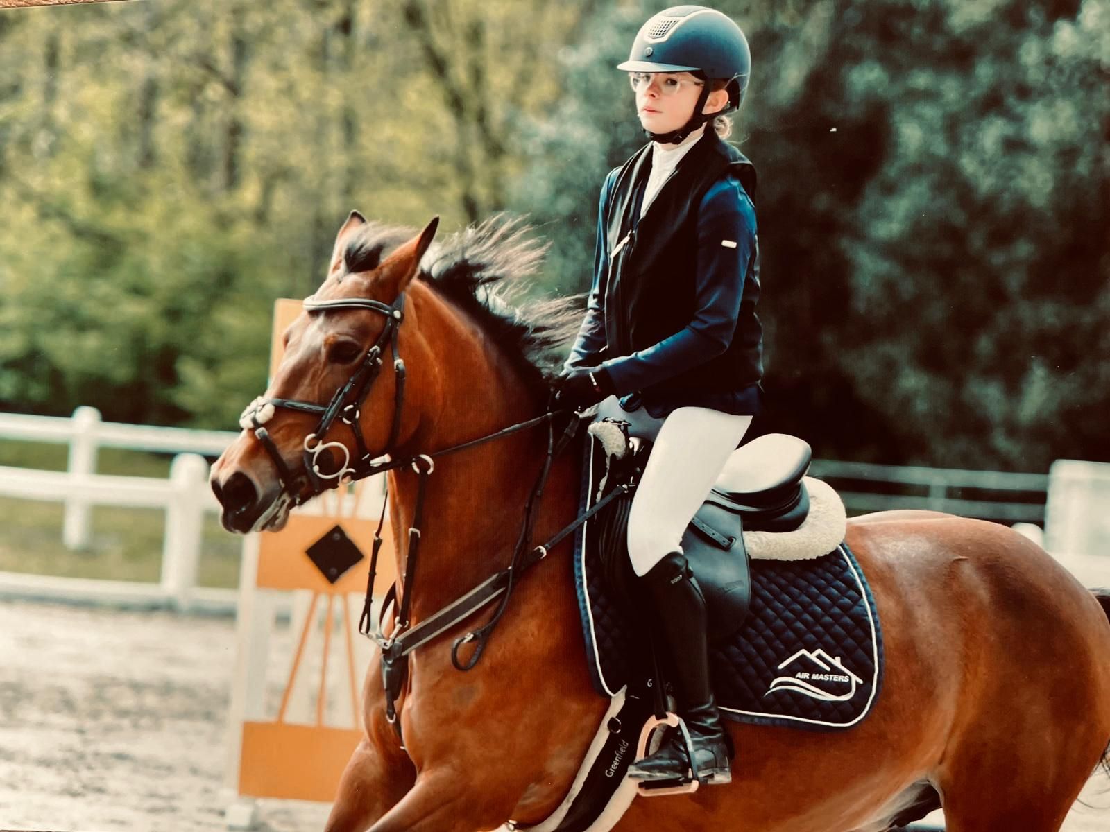 springpony merrie 10 years old bruin for sale - Photo 3