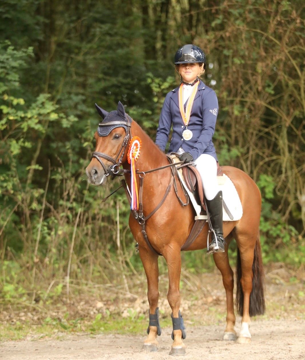allround-pony ruin 8 Jahre alt vos zu verkaufen - Foto 6