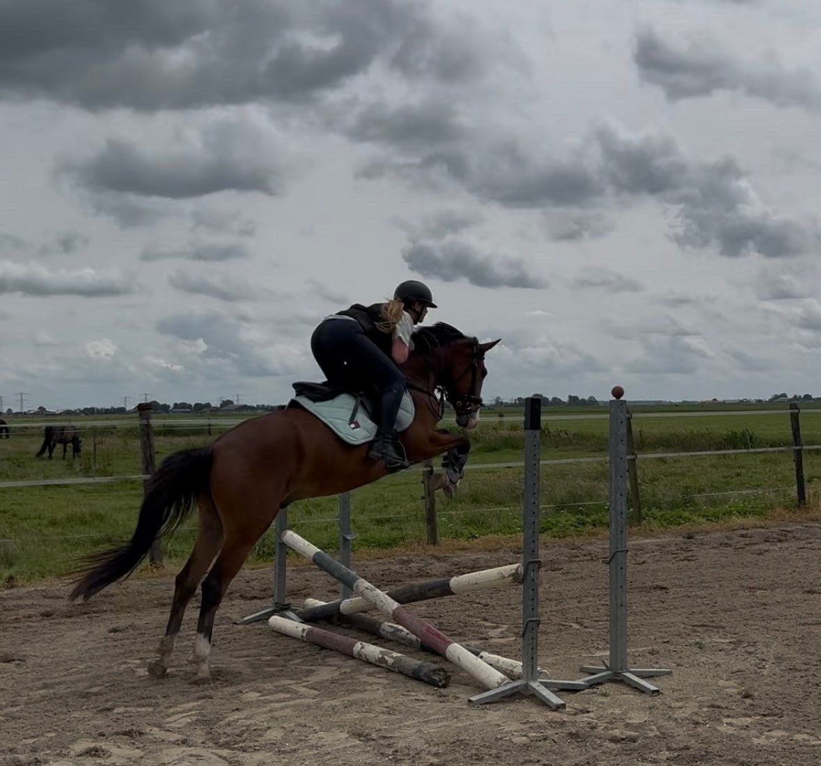 Fijne brave springpony