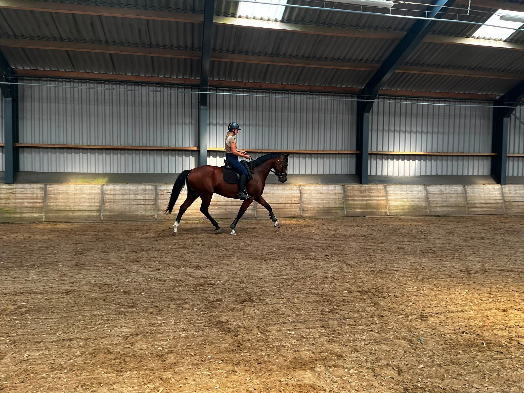 kwpn dressuurpaard merrie 5 岁 bruin 出售 - 照片 4