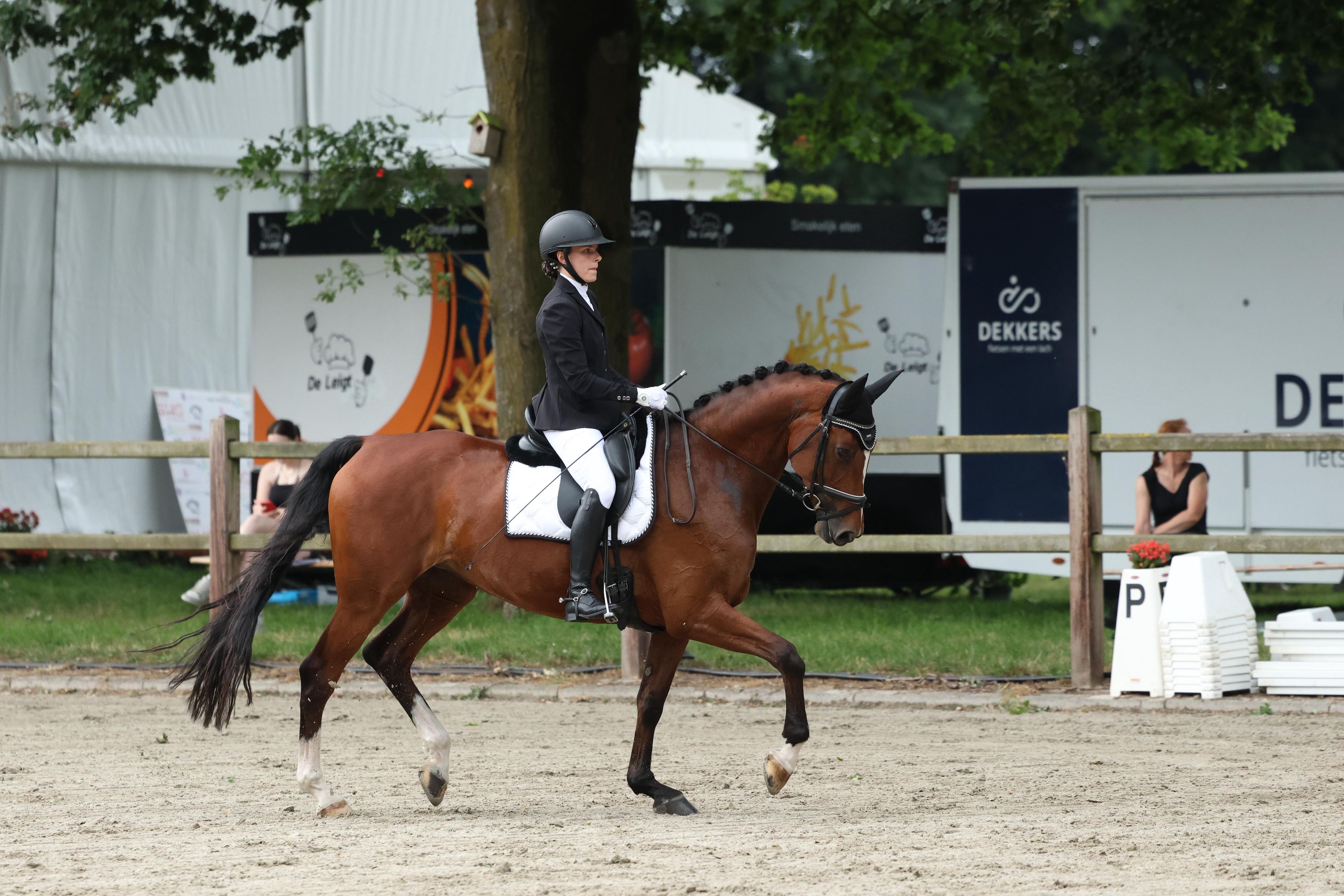 kwpn dressuurpaard merrie 13 years old bruin for sale - Photo 4