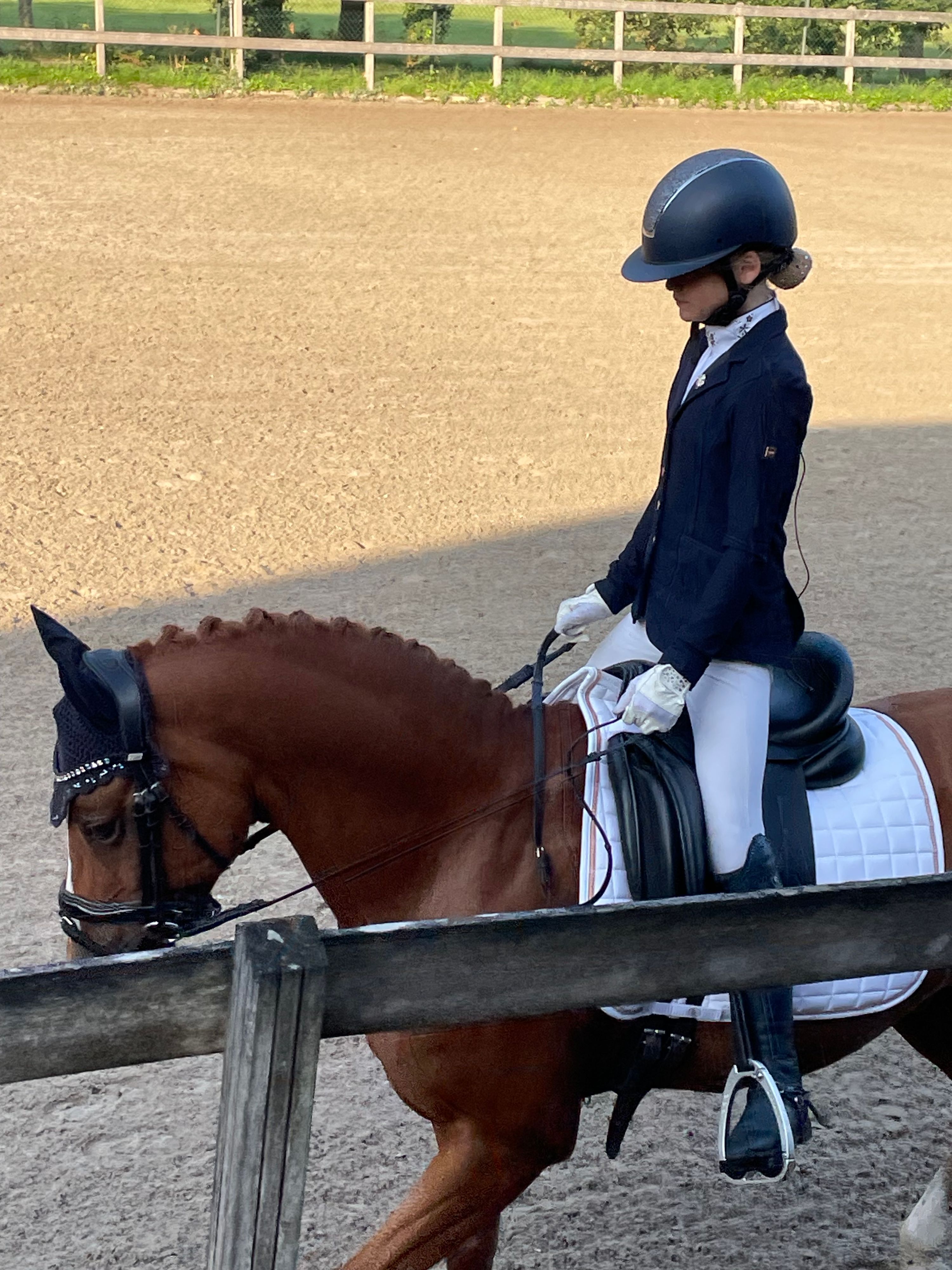 nrps dressuurpony ruin 16 år vos till salu - Foto 2