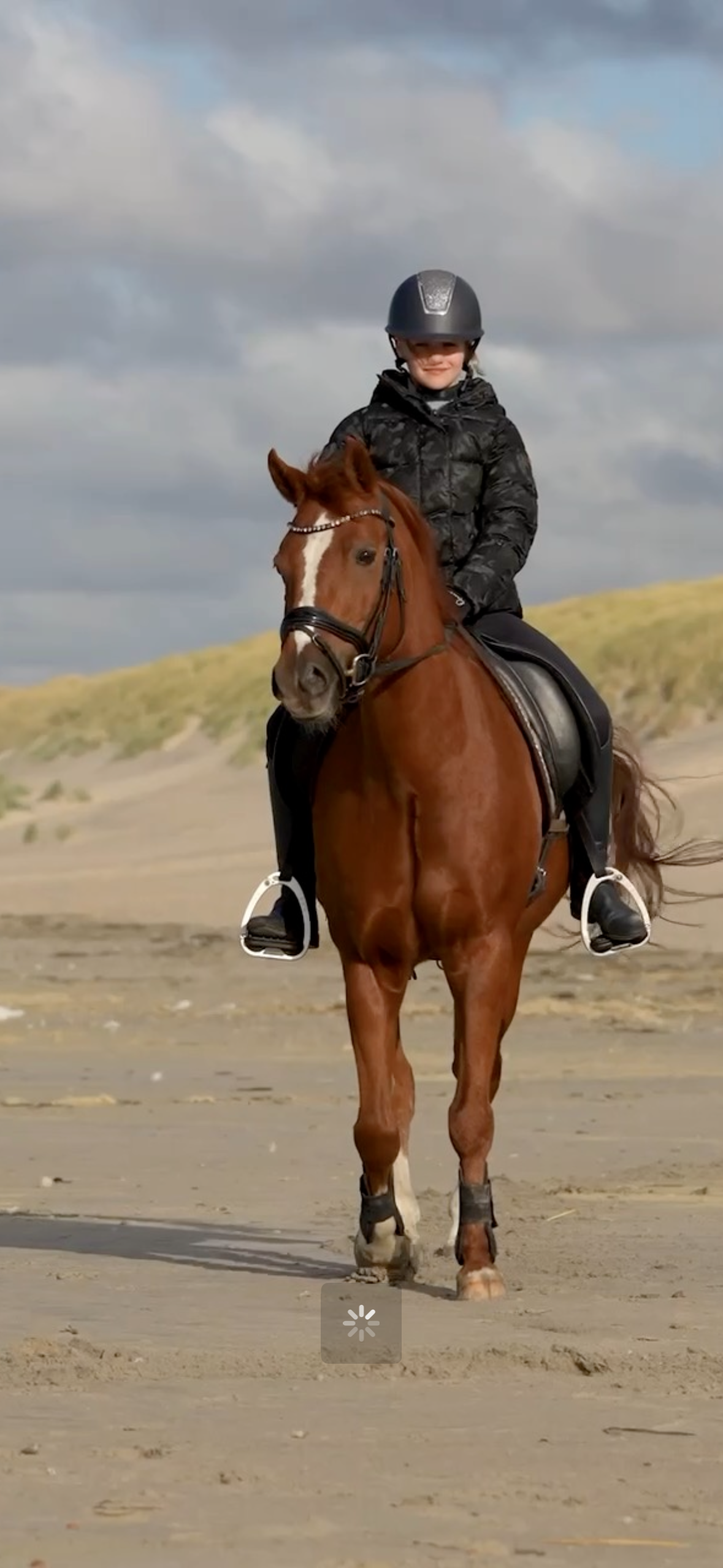 nrps dressuurpony ruin 16 år vos till salu - Foto 6