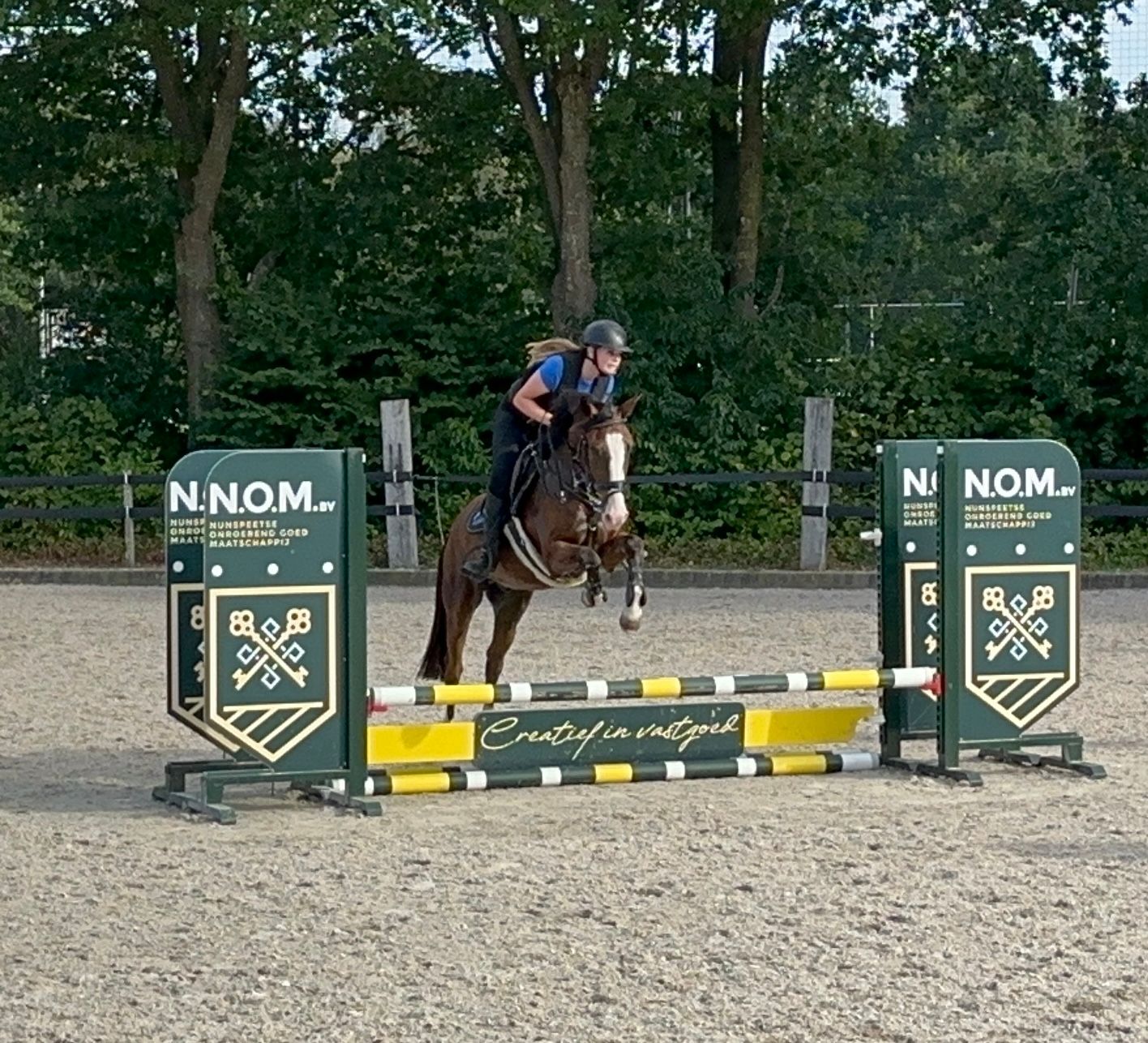 Bonito poni de salto noble
