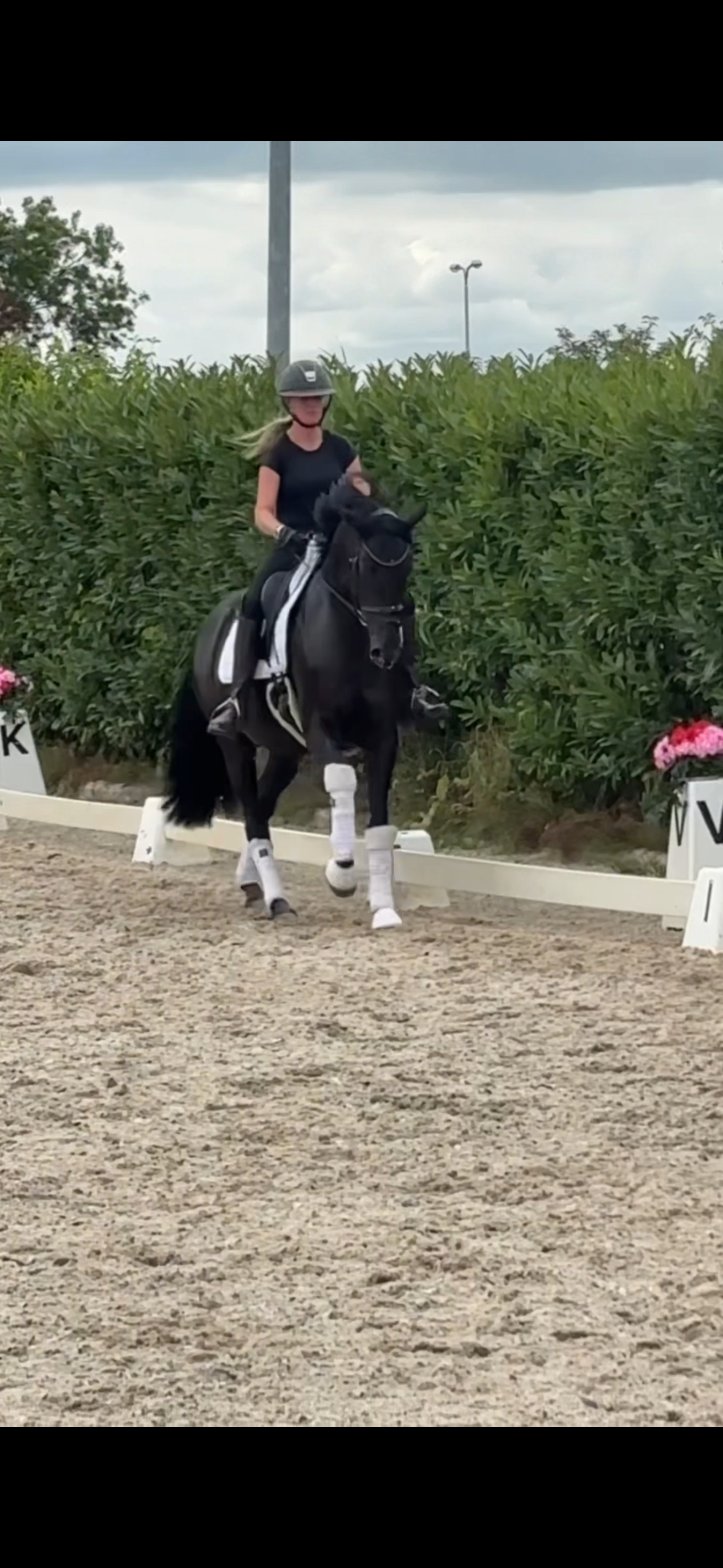 Super lieve Glamourdale merrie 