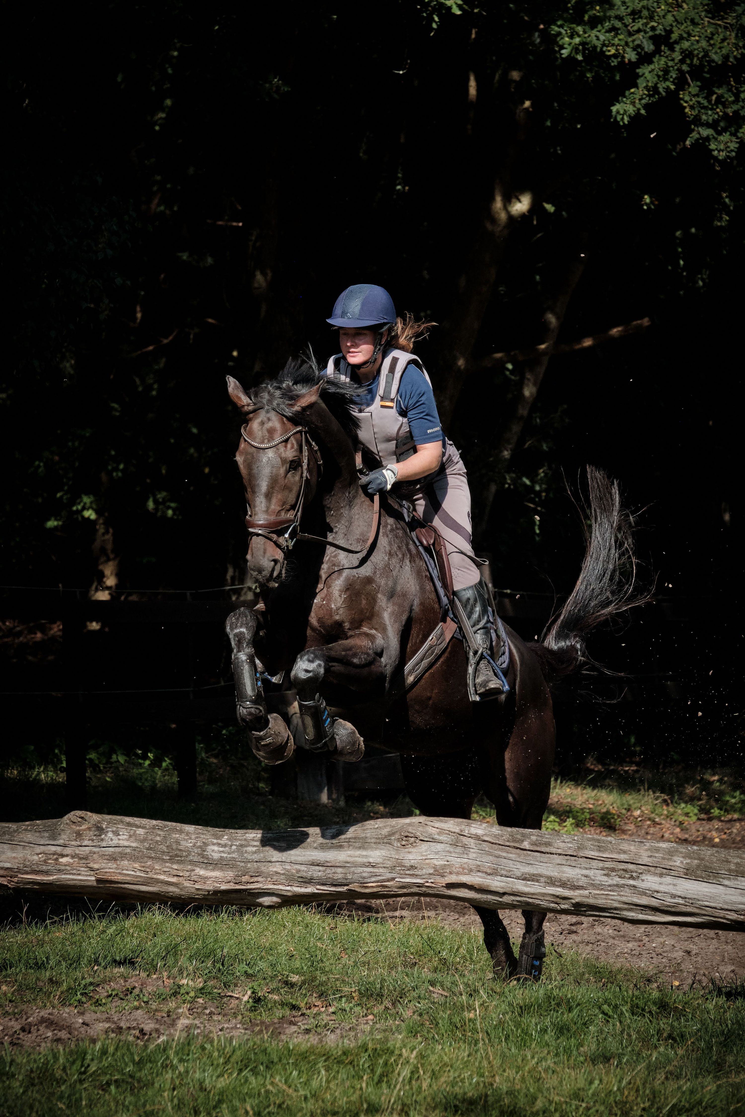 allrounder ruin 14 years old donkerbruin for sale - Photo 4