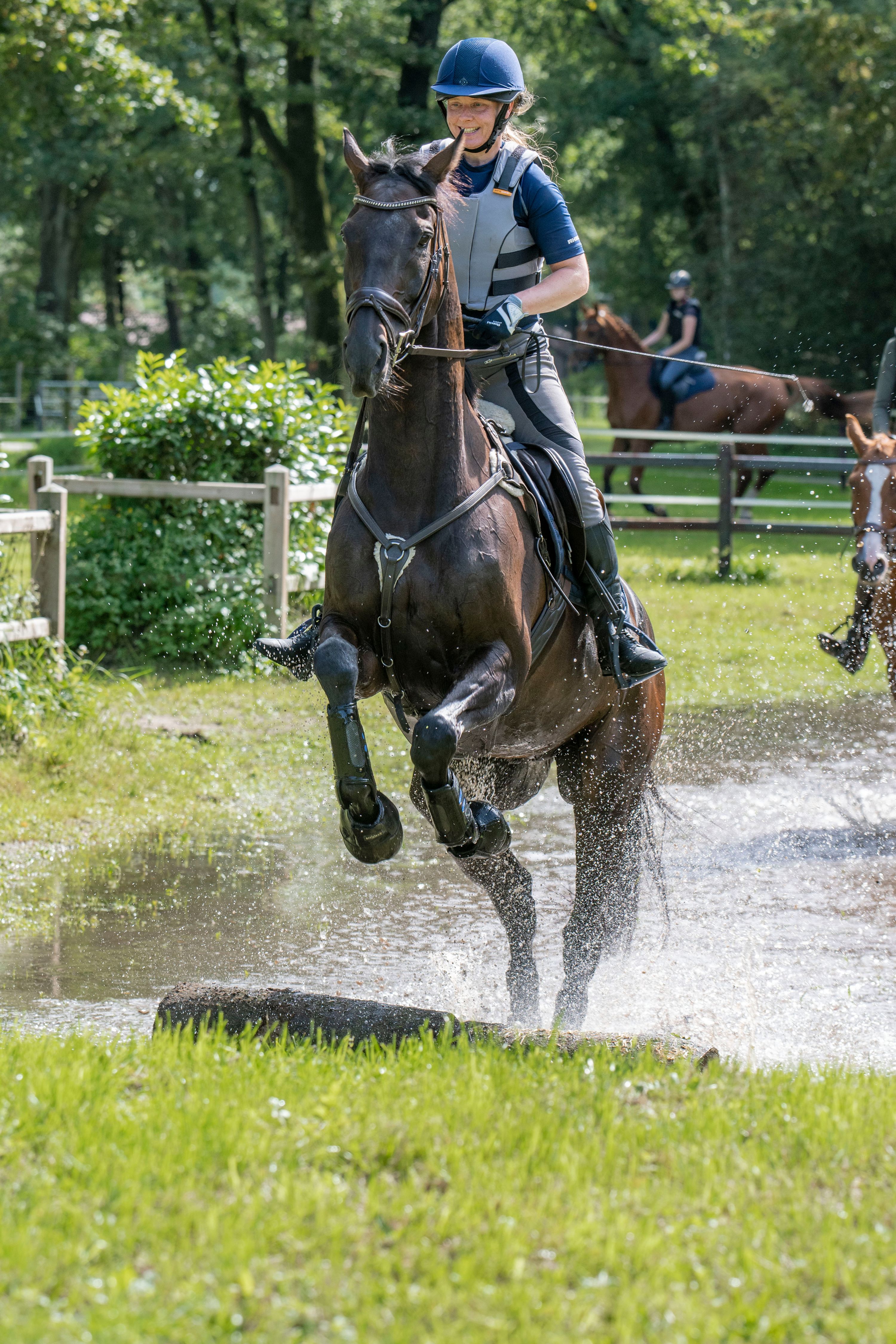 allrounder ruin 14 years old donkerbruin for sale - Photo 5