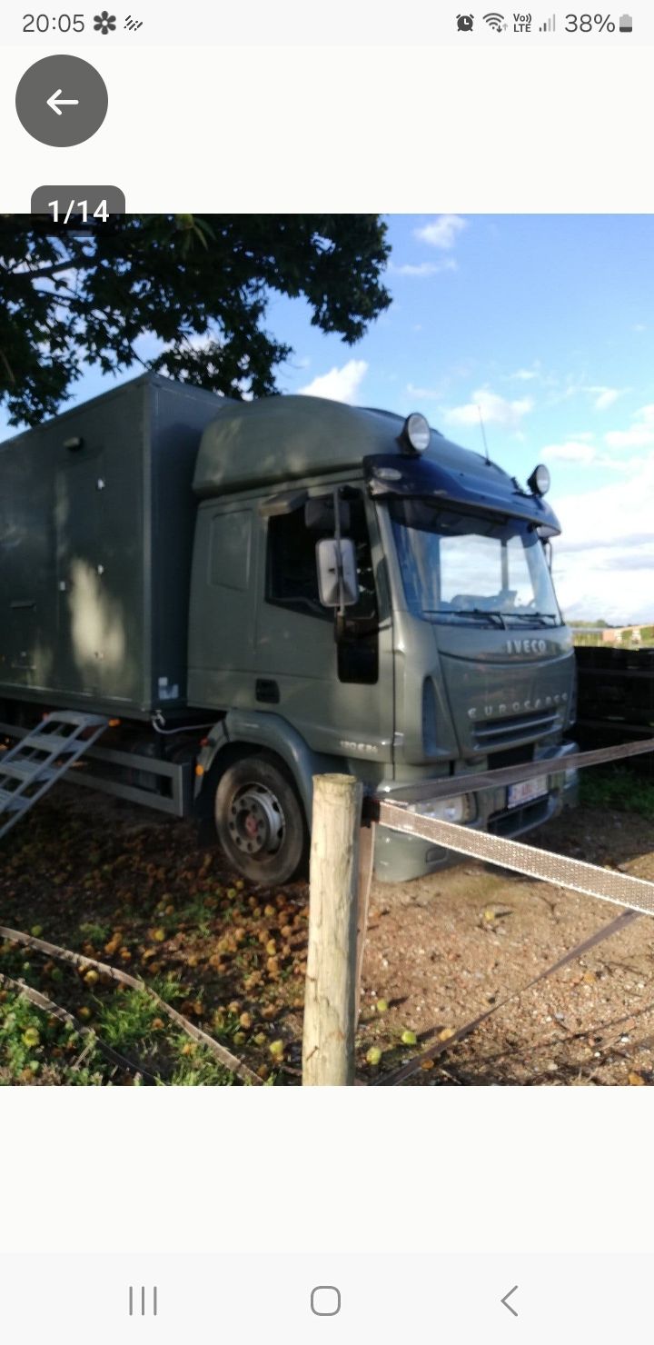 Reliable Iveco horse lorry