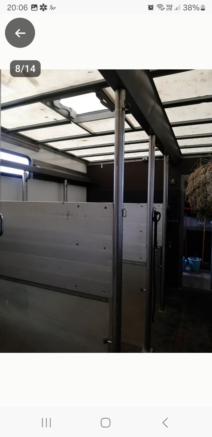 Grijs for sale - Photo 6
