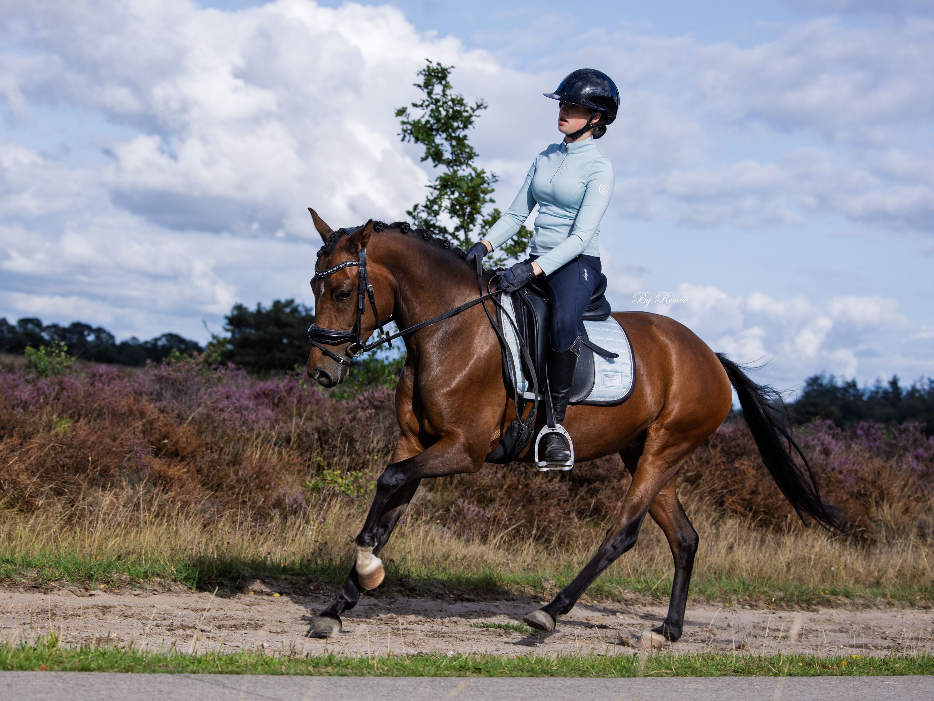new-forest dressuurpony merrie 6 anos bruin à venda - Foto 6