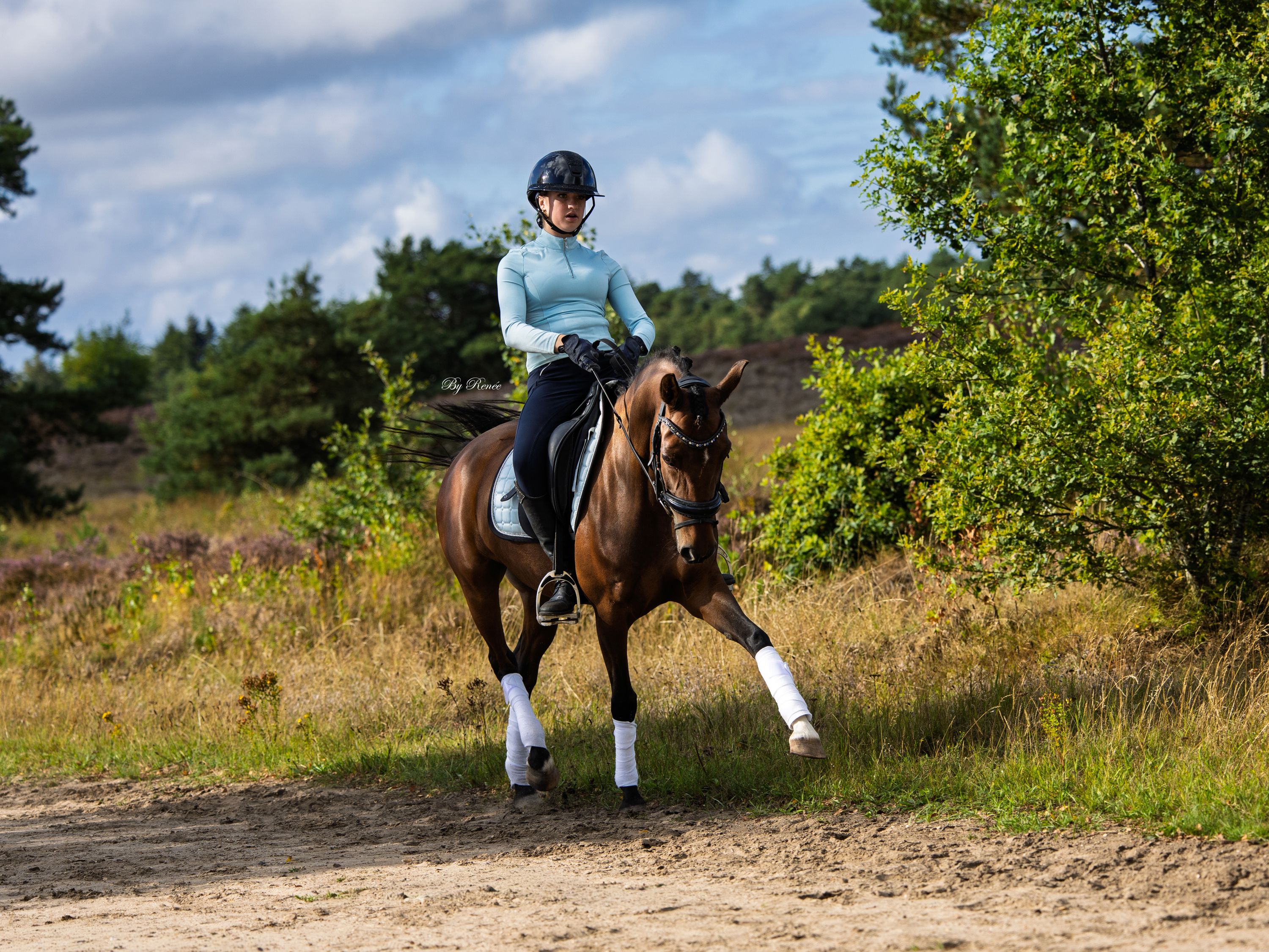 new-forest dressuurpony merrie 6 anos bruin à venda - Foto 4