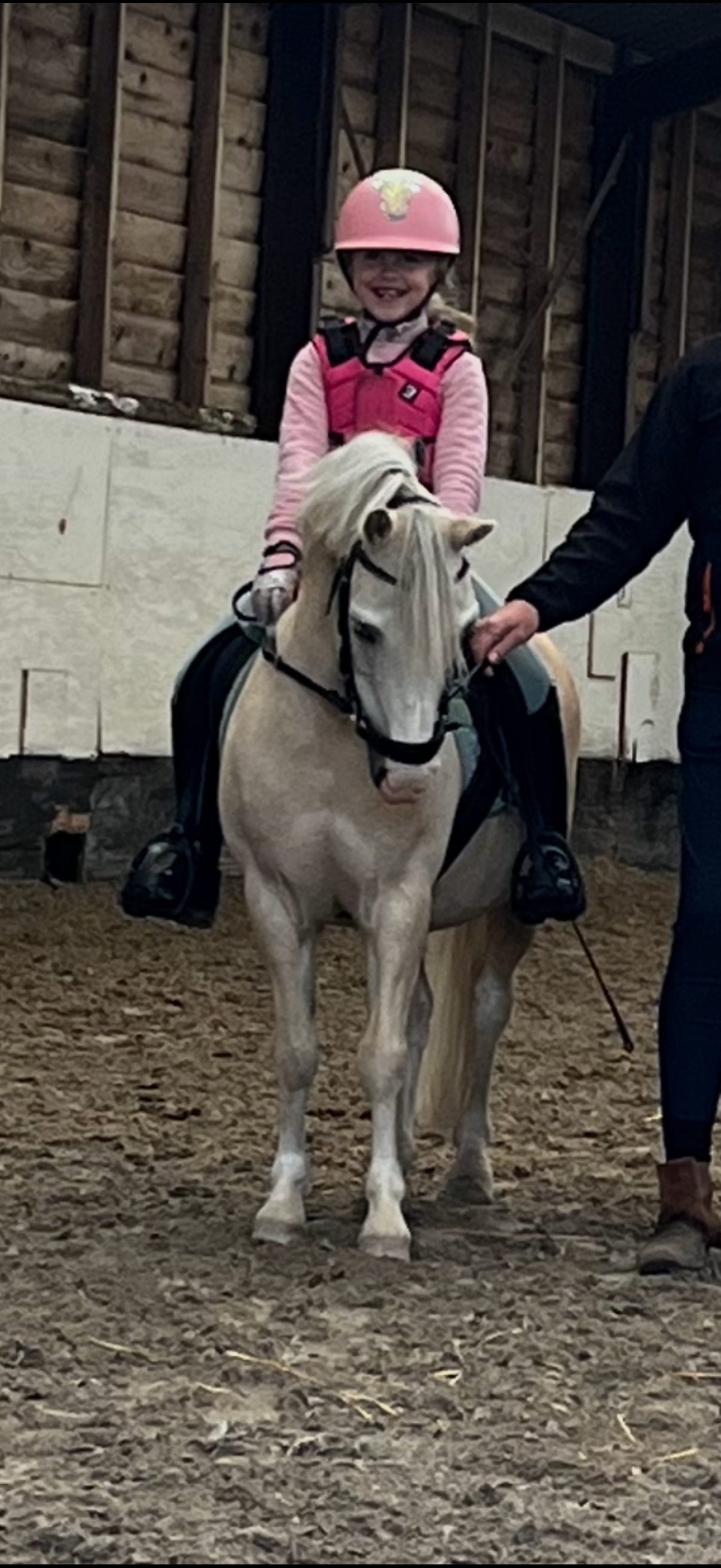 TIL SALG FANTASTISK BIXIE-/LÆRE_PONY