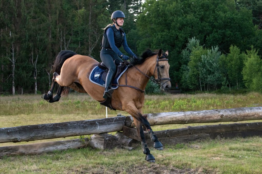 NRPS dressuurpaard Merrie 14 ans andere-kleur à vendre - Photo 3