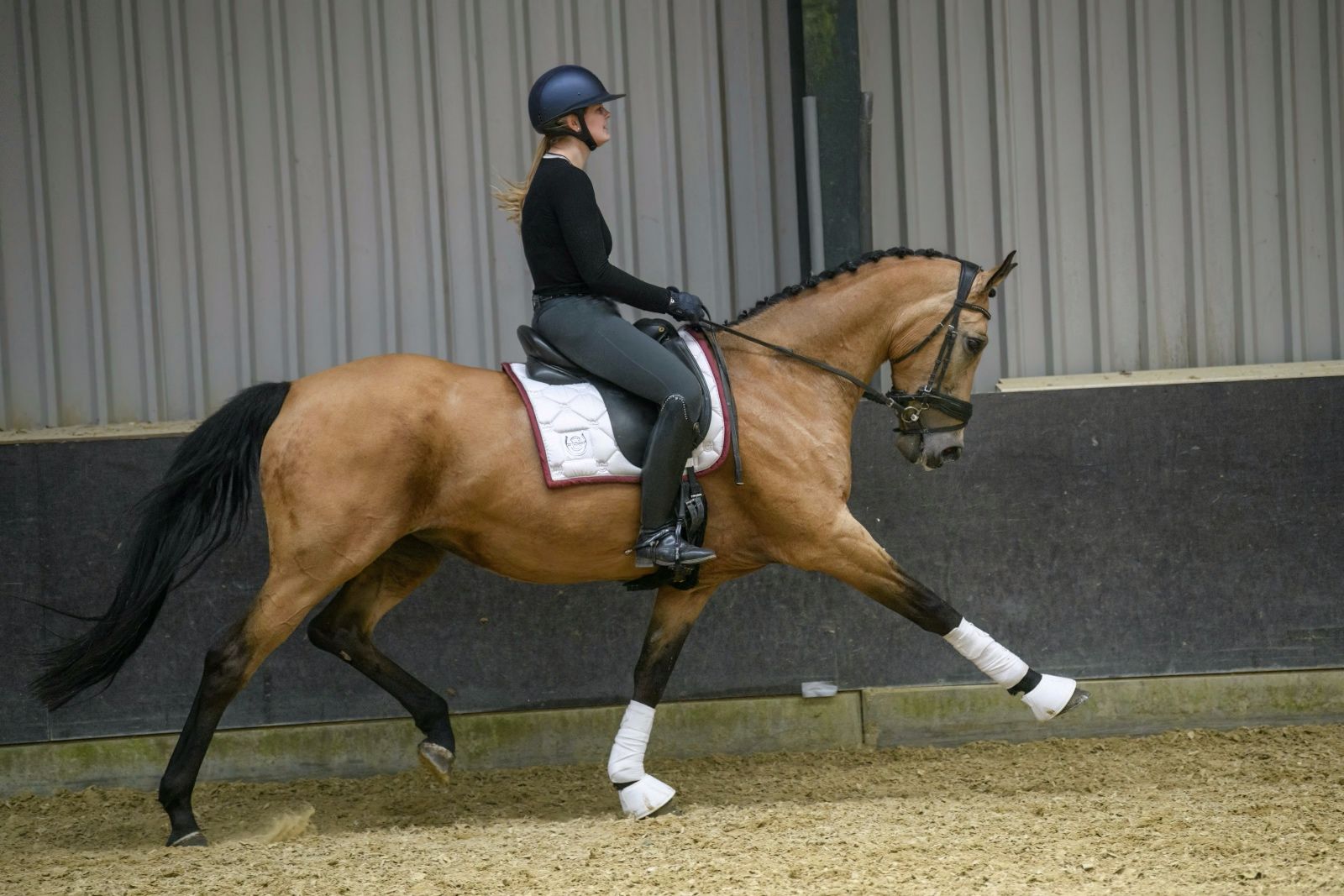 NRPS dressuurpaard Merrie 14 ans andere-kleur à vendre - Photo 5